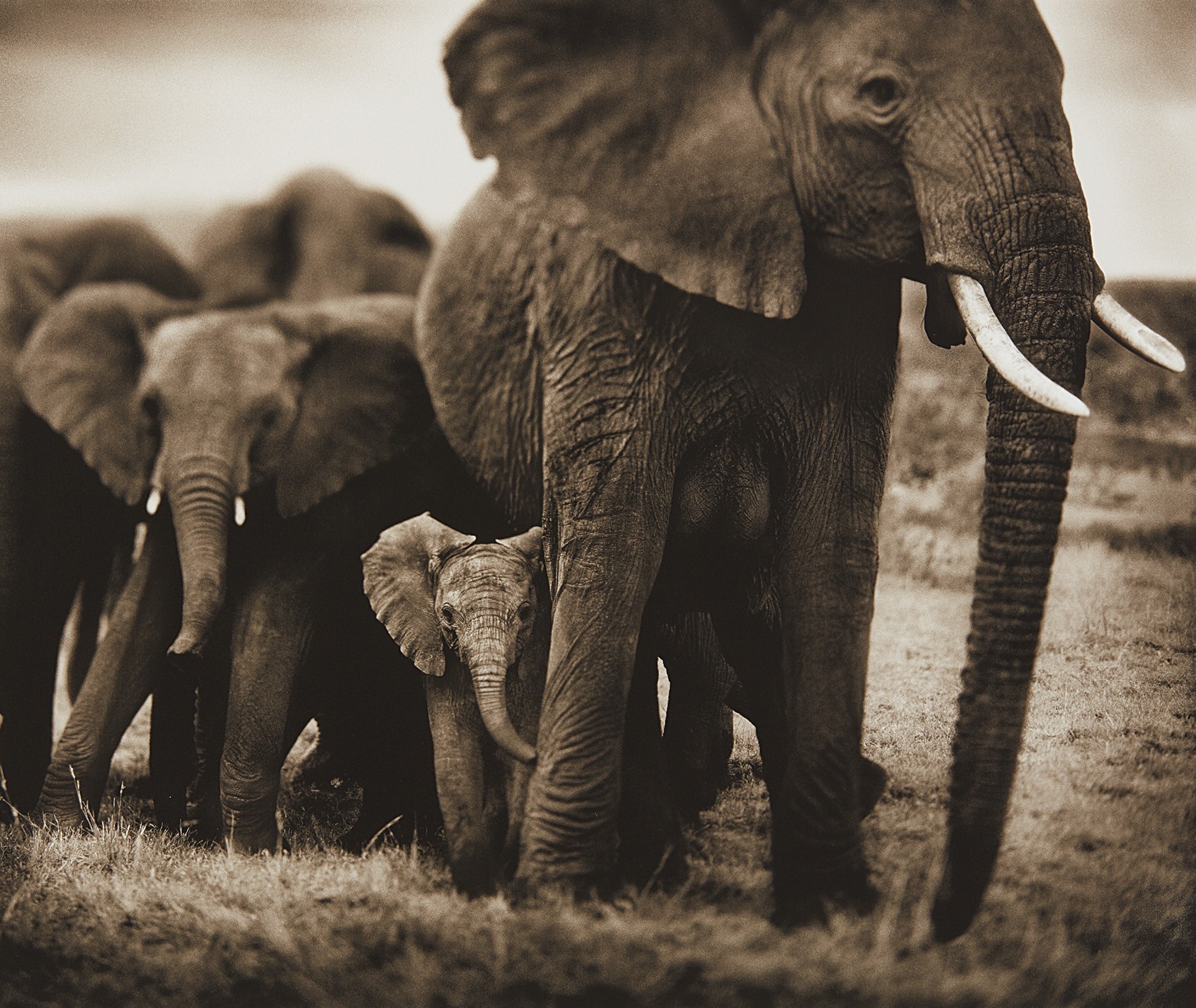 Brought to you by Phillips