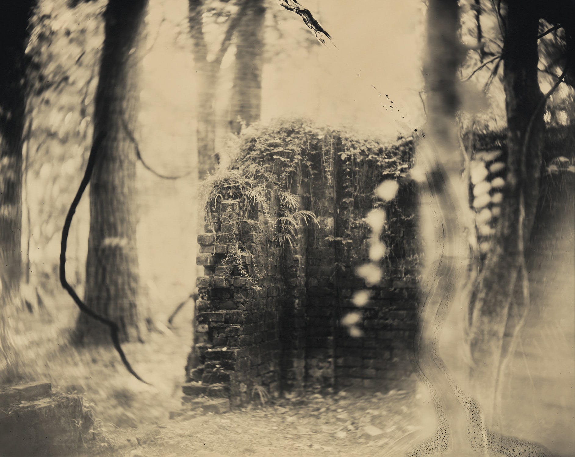 洋書　写真集　DEEP SOUTH    SALLY MANN Buy Deep South by Sally Mann Online – Setanta Books