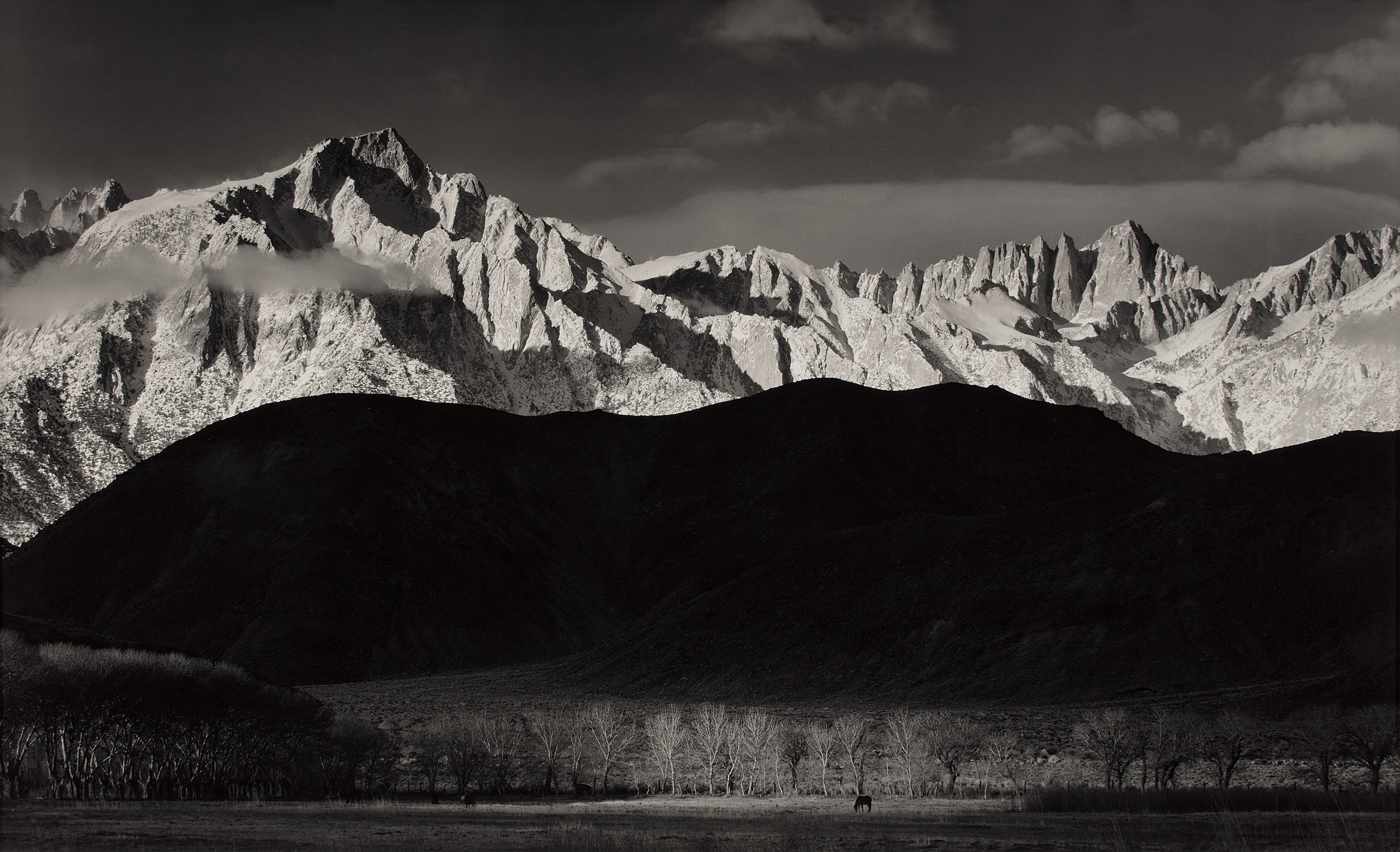 Ansel Adams Singular Images 写真集 Singular Images | Ansel Adams | First Edition