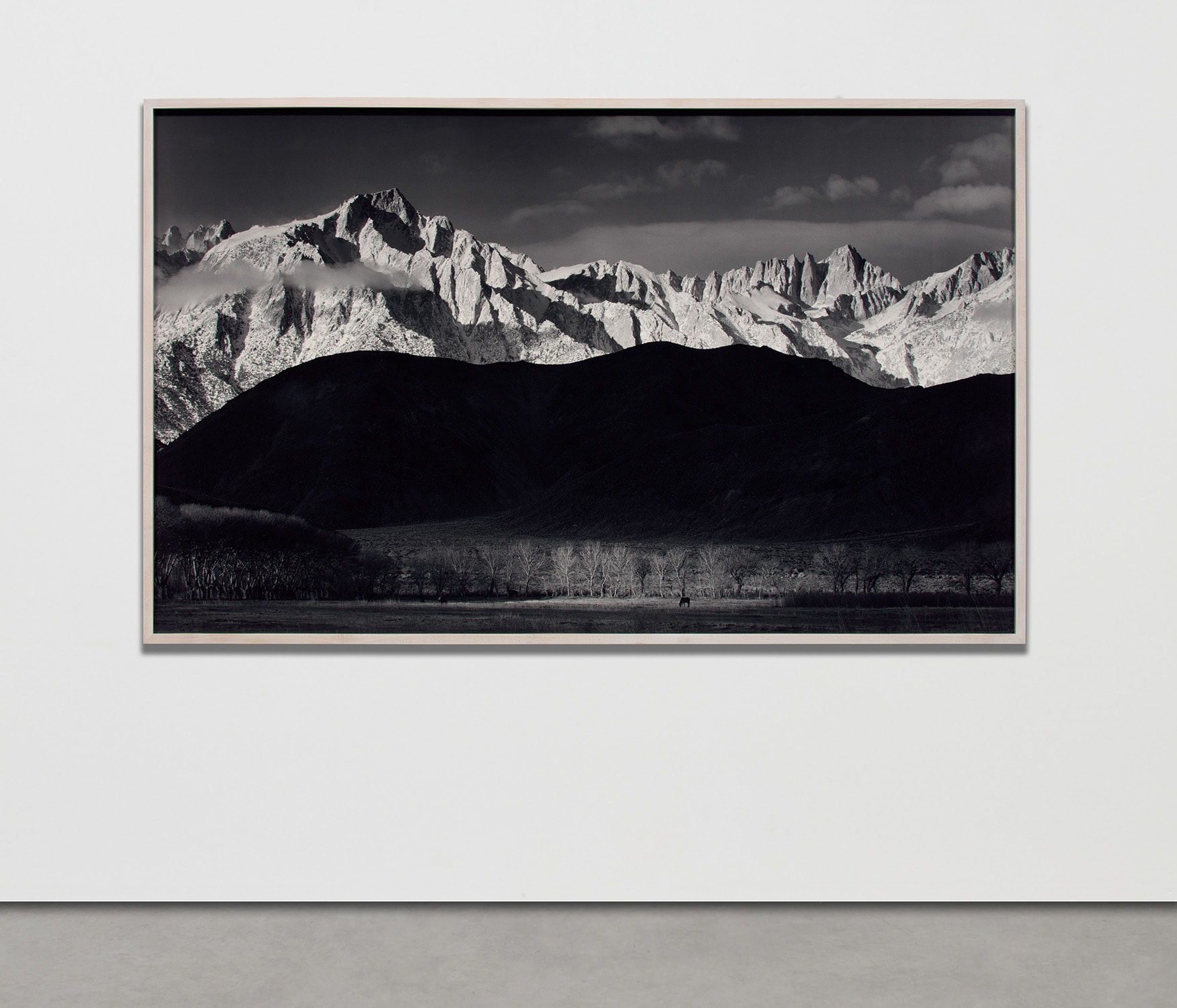 Ansel Adams Singular Images 写真集 Singular Images by Ansel Adams; Edwin Land; David H. McAlpin