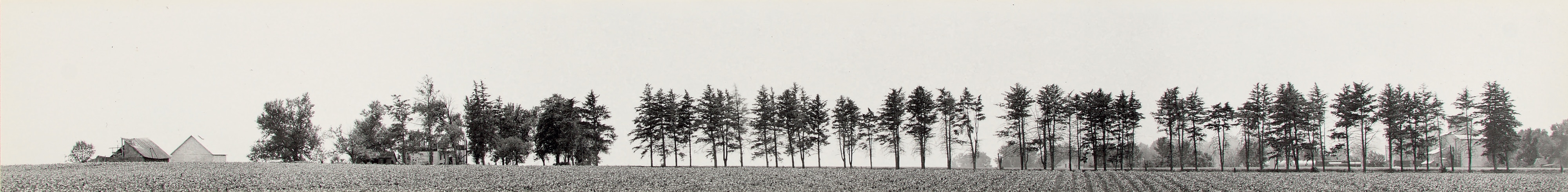 Lot 1