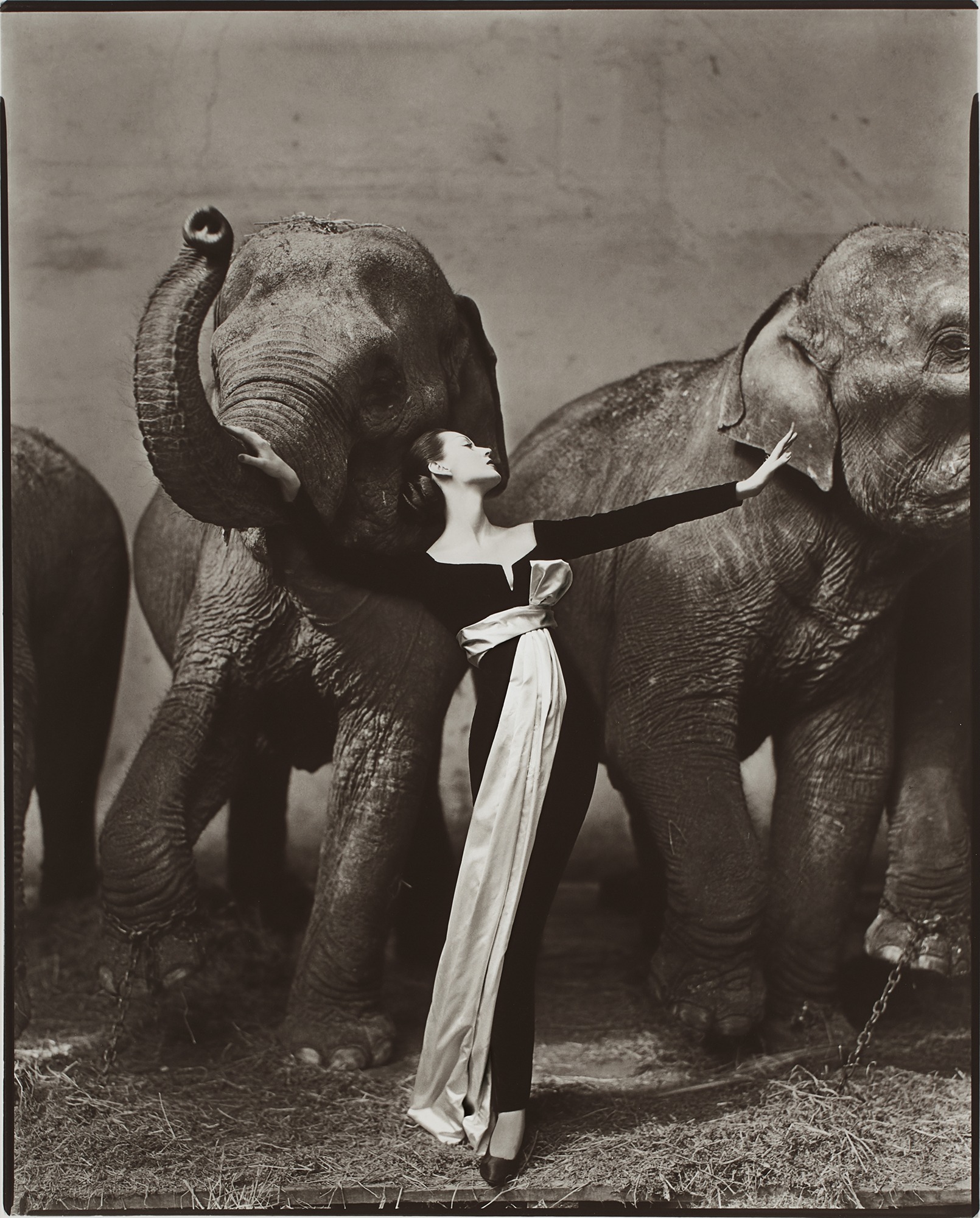 <p><strong>RICHARD AVEDON</strong> <em>Dovima with elephants, Evening dress by Dior, Cirque d’Hiver, Paris</em>, <em>August</em>, 1955</p>