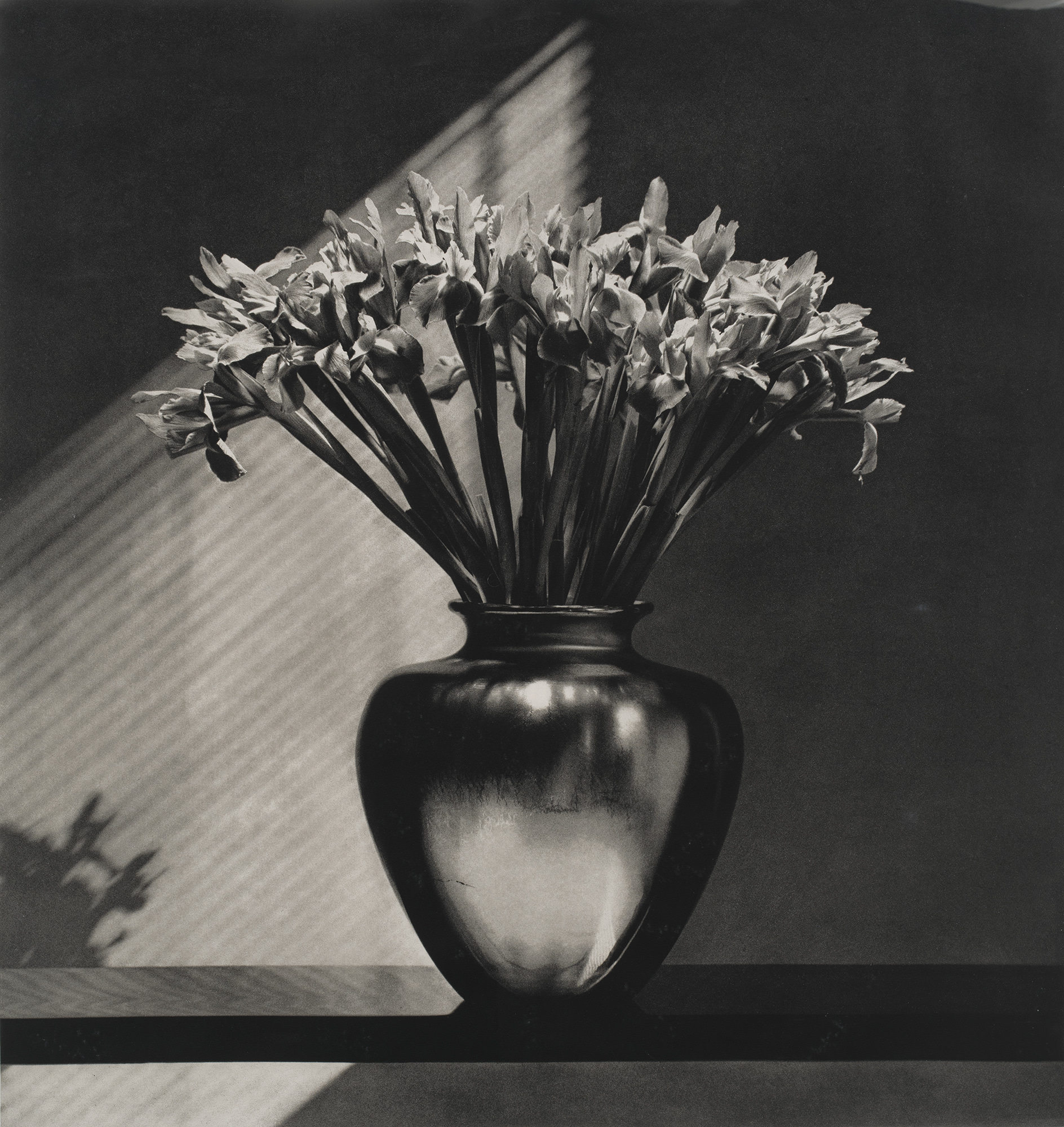 <p><strong>ROBERT MAPPLETHORPE</strong> <em>Irises</em>, 1986-1987</p>