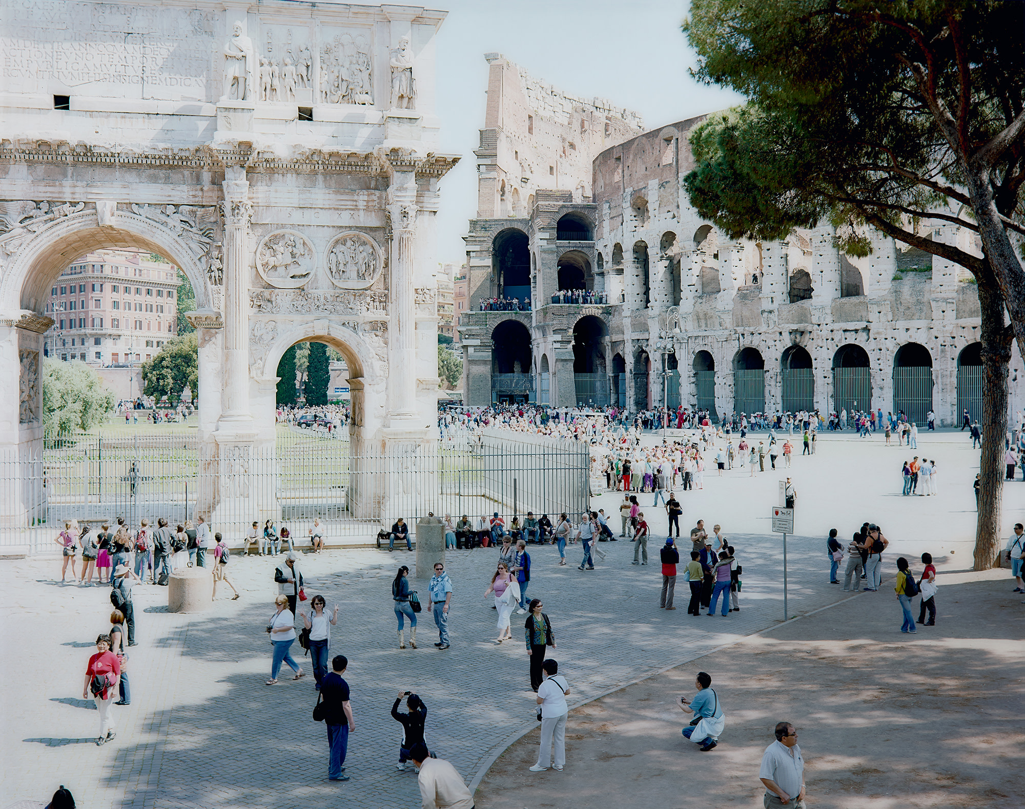 <p><strong>MASSIMO VITALI</strong> <em>Titus Arch Pine Tree #3092</em>, 2008</p>
