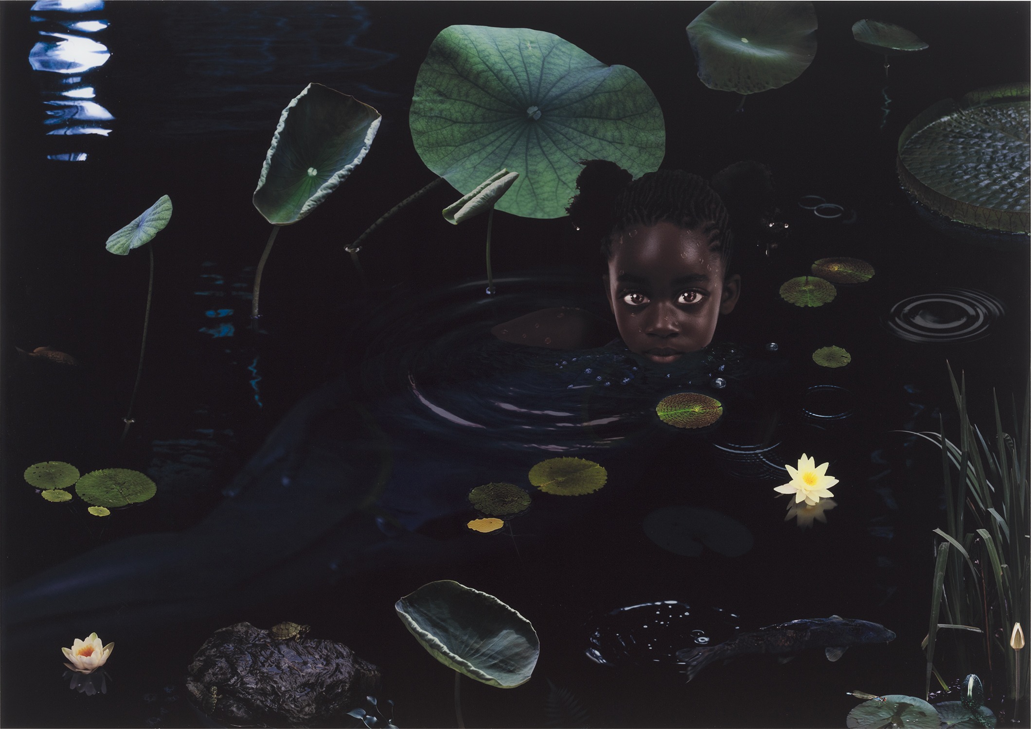 Brought to you by Phillips