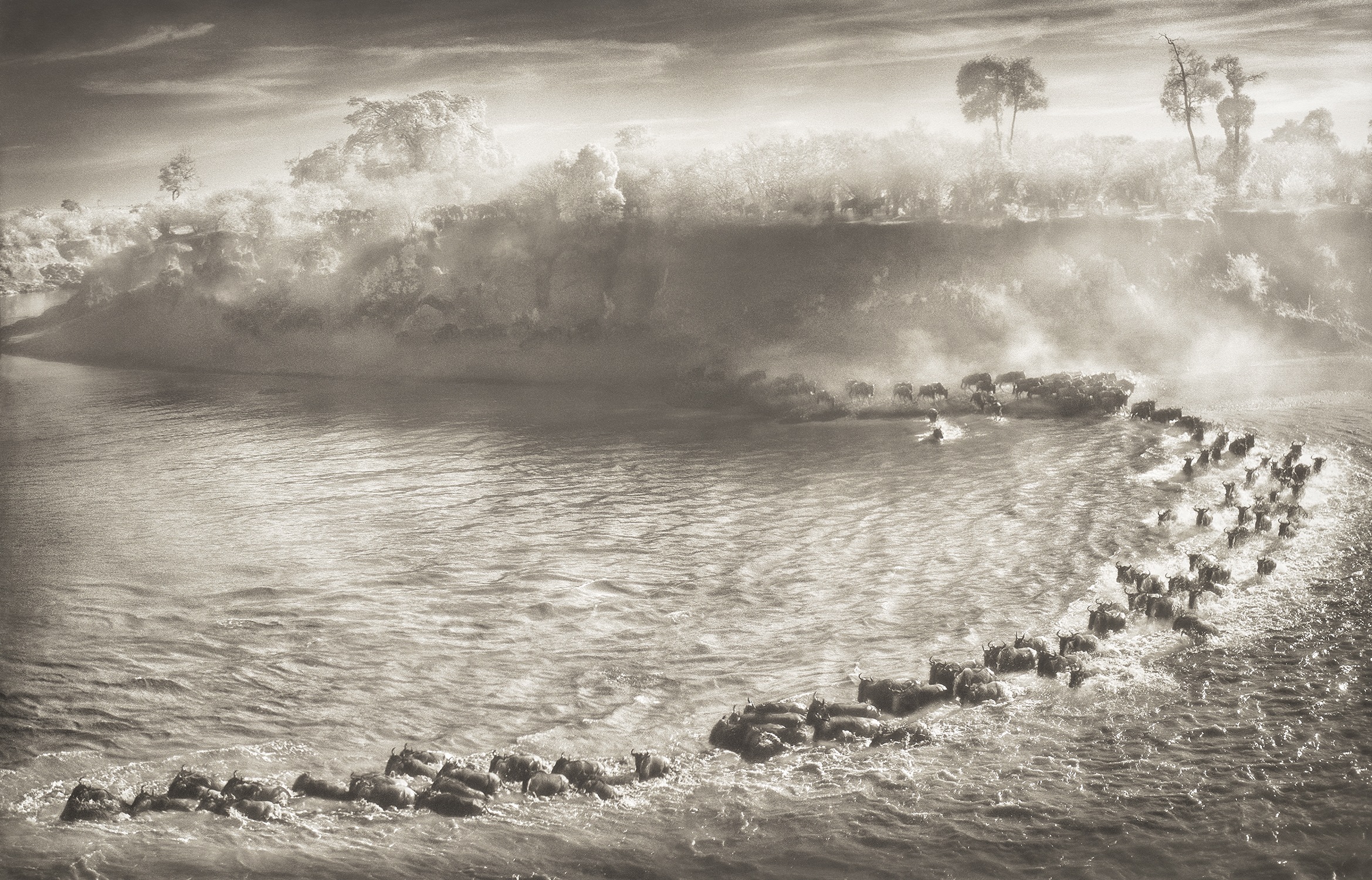 Brought to you by Phillips