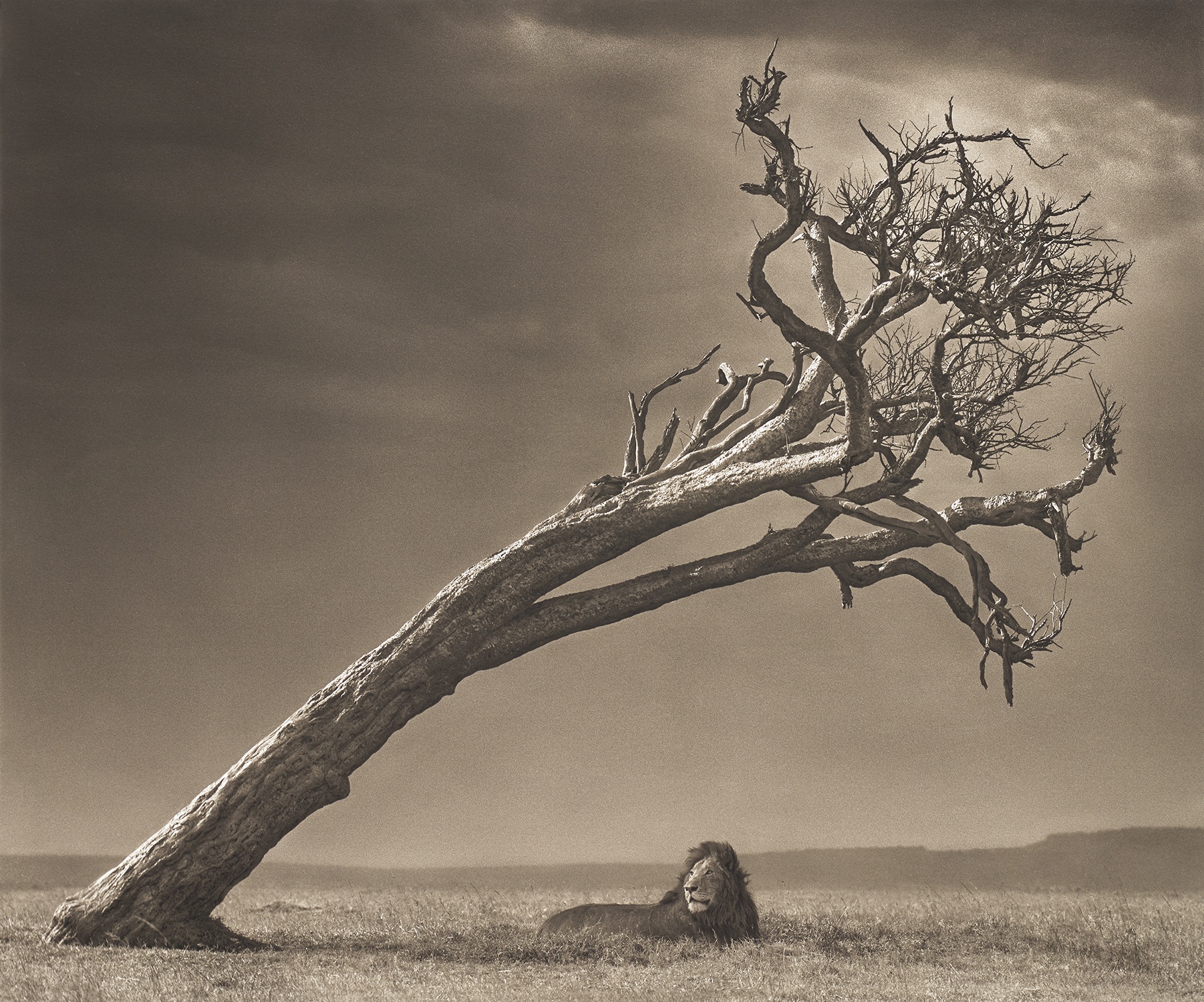 Brought to you by Phillips