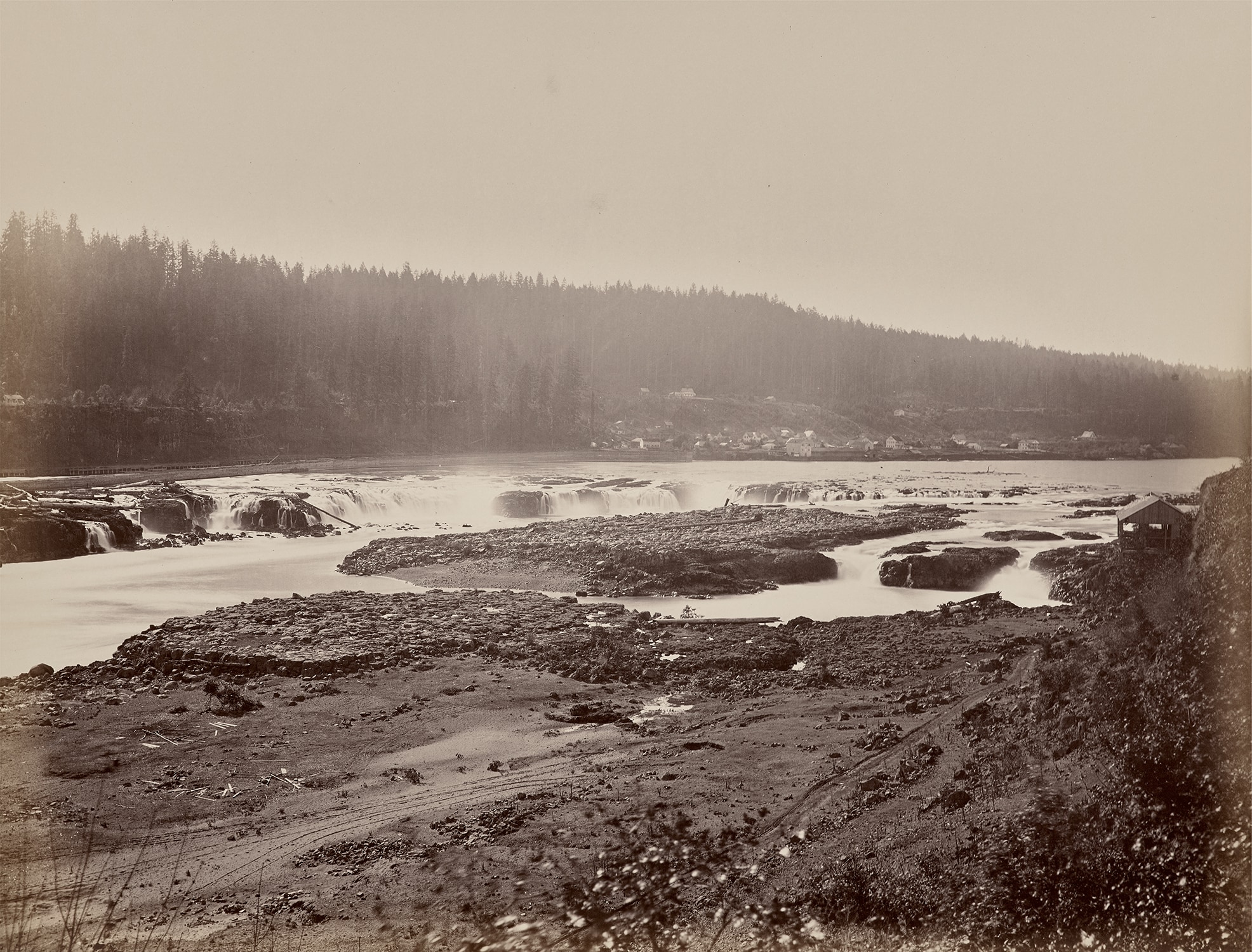 Brought to you by Phillips