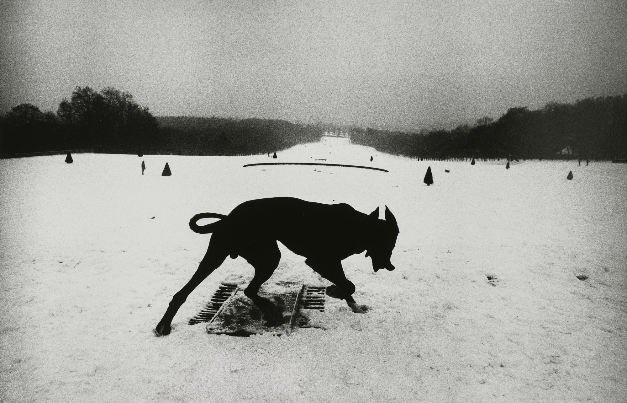 <p><strong>JOSEF KOUDELKA</strong> <em>France,</em> 1987</p>