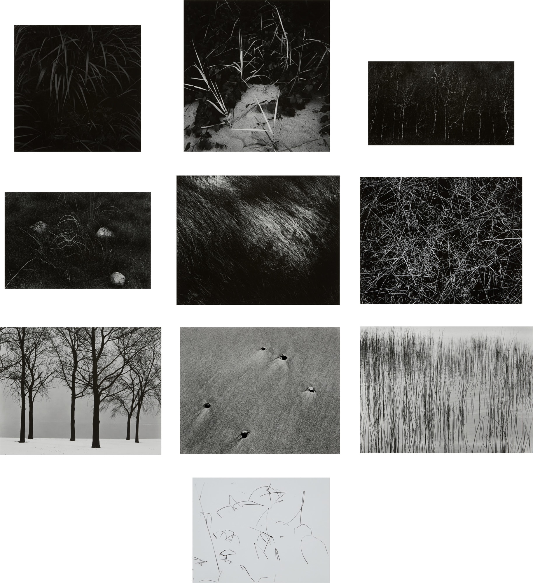 <p><strong>HARRY CALLAHAN</strong> <em>Suite of 10 Photographs from The Photographer and the American Landscape, </em>1941-62</p>