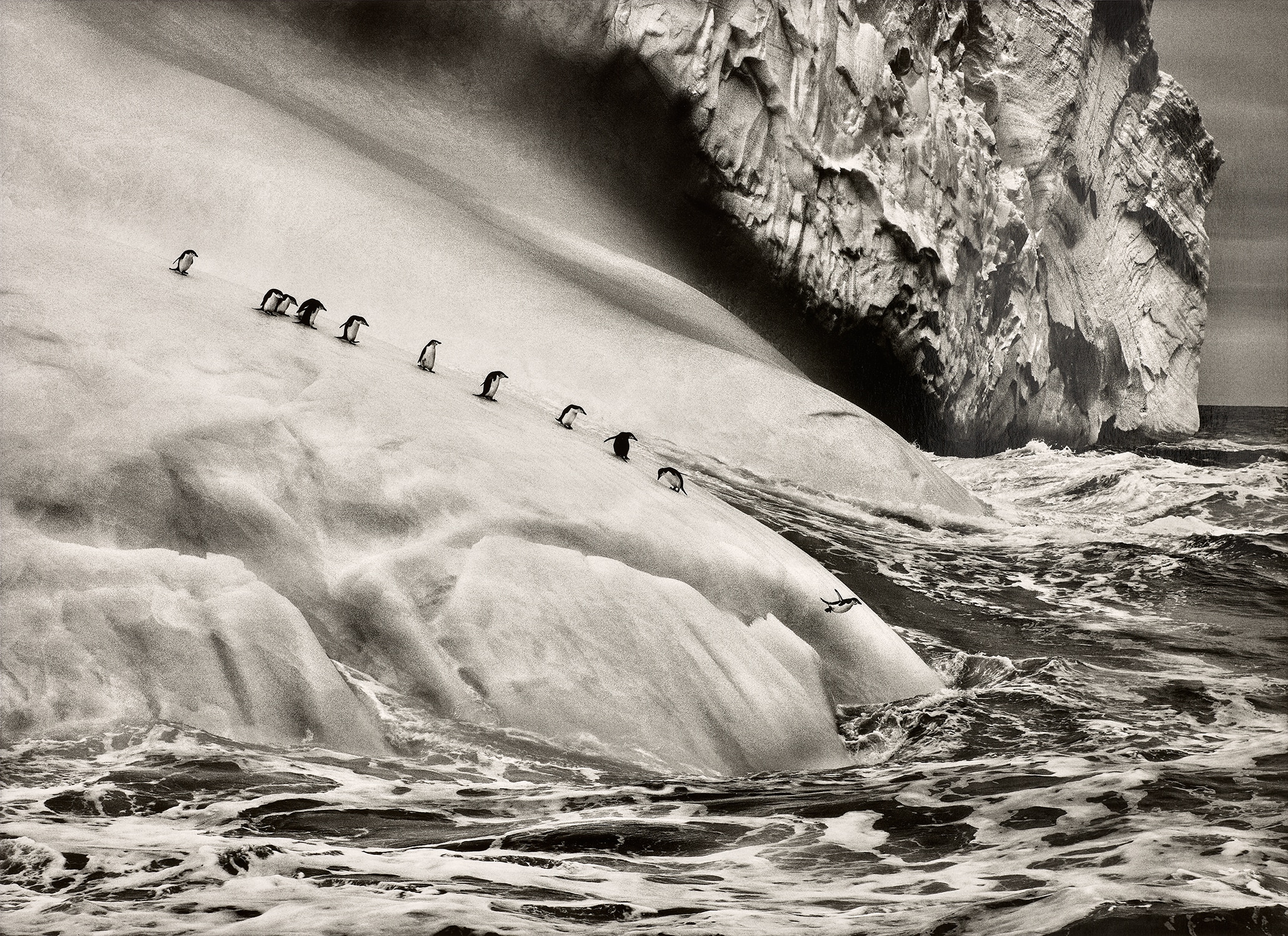 Brought to you by Phillips