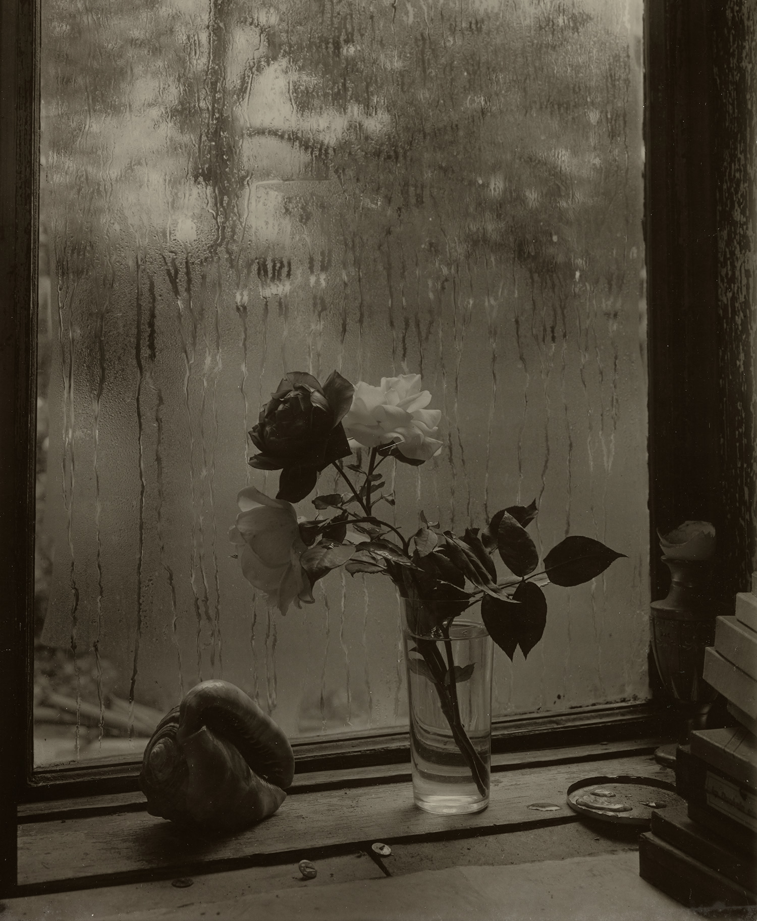 Josef Sudek: A Photographer's Life 写真集 POET OF PRAGUE: A PHOTOGRAPHER'S LIFE Josef Sudek ヨゼフ