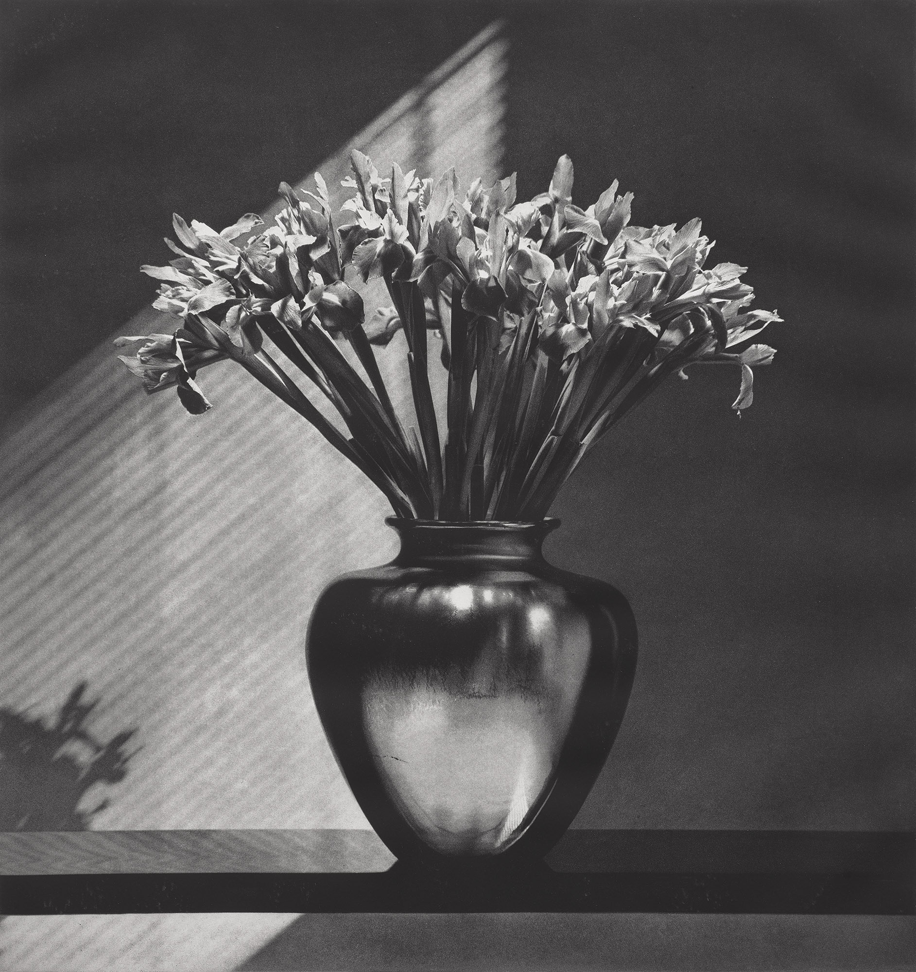 <p><strong>ROBERT MAPPLETHORPE</strong> <em>Irises,</em> 1982</p>