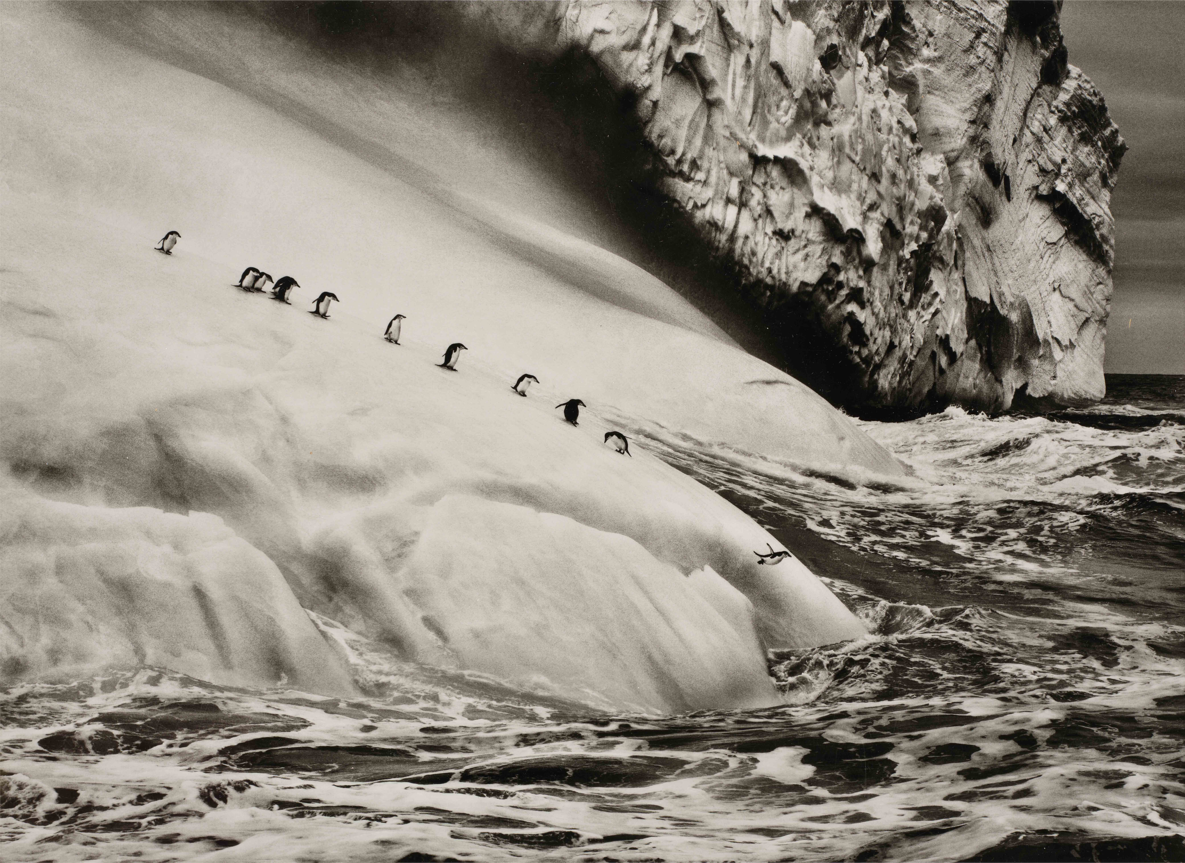 <p><strong>SEBASTI&Atilde;O SALGADO</strong> <em>Chinstrap Penguins, South Sandwich Islands</em>, 2009</p>
