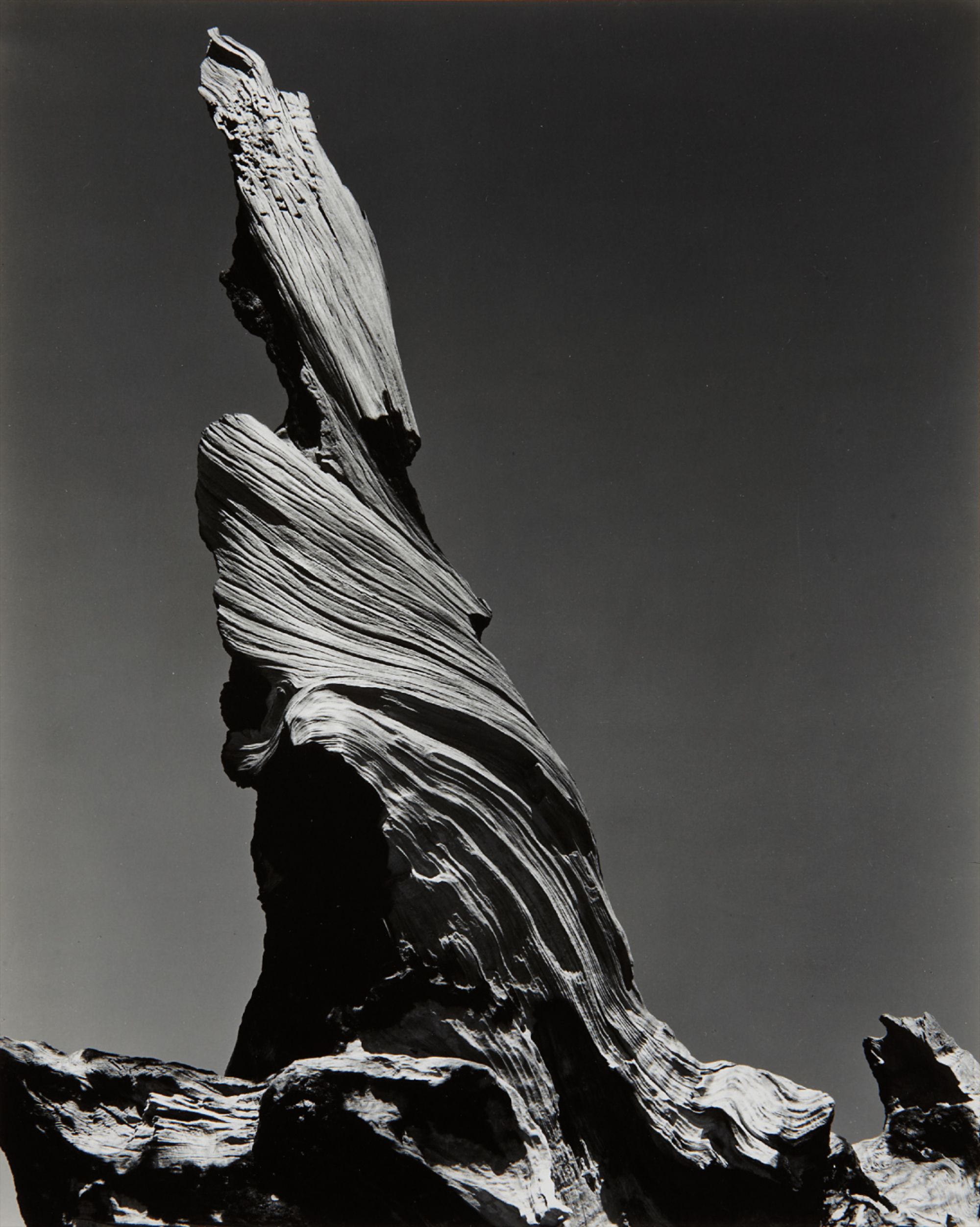 WESTON’S WESTONS　Edward Weston Edward Weston Photographs from the Collection of the Art
