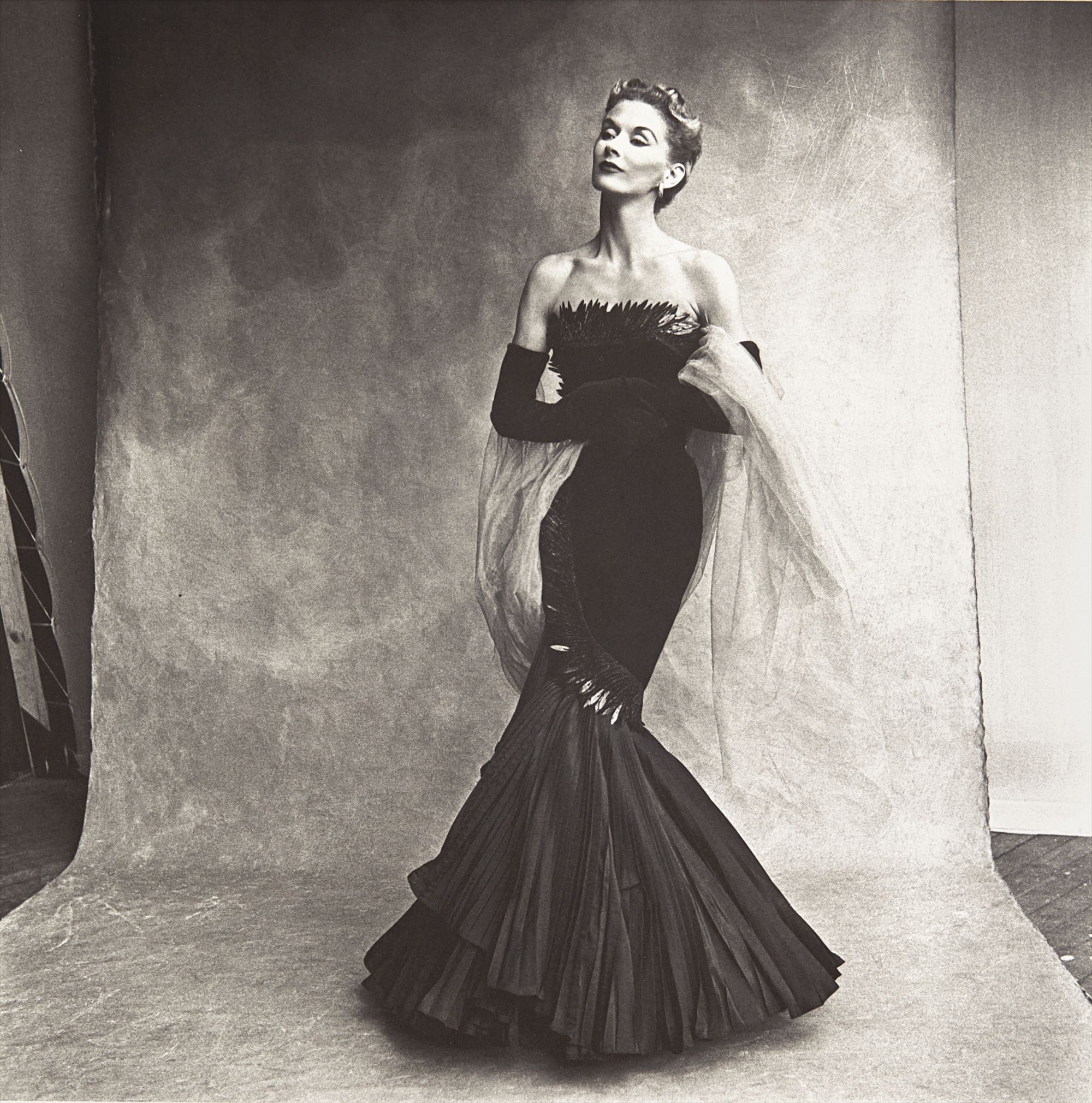 Irving Penn Photographs from the Collection of the Art