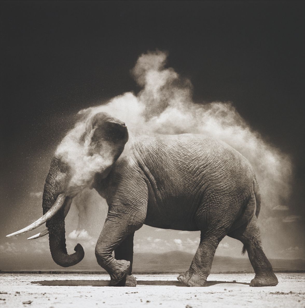 Brought to you by Phillips