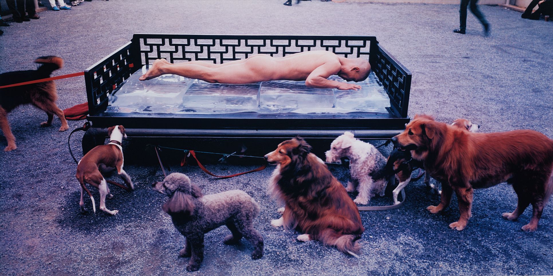 Brought to you by Phillips