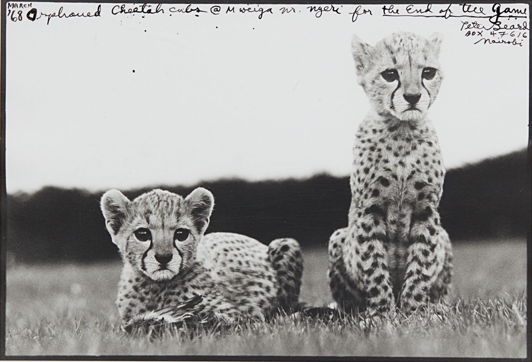 Brought to you by Phillips