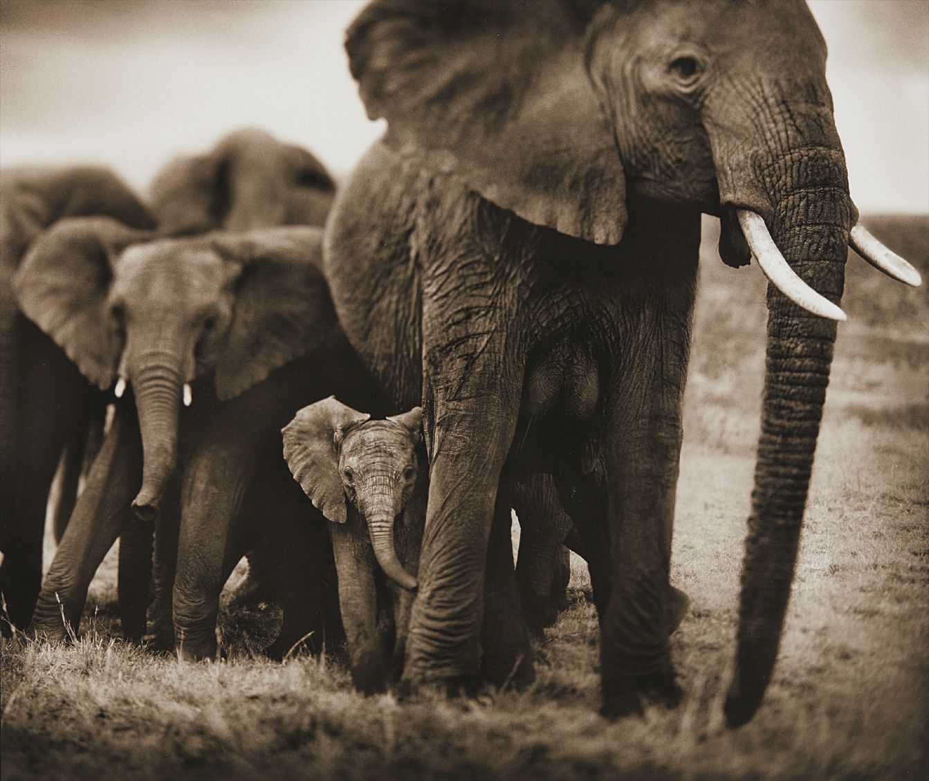 Brought to you by Phillips