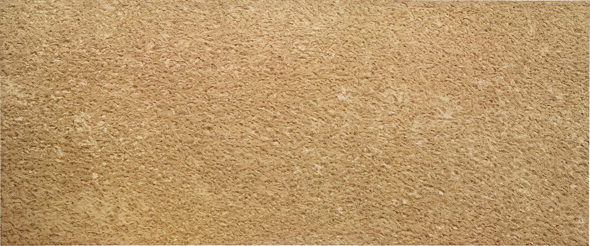 <b>RICHARD MISRACH</b> <i>Untitled #451-03</i>, 2003