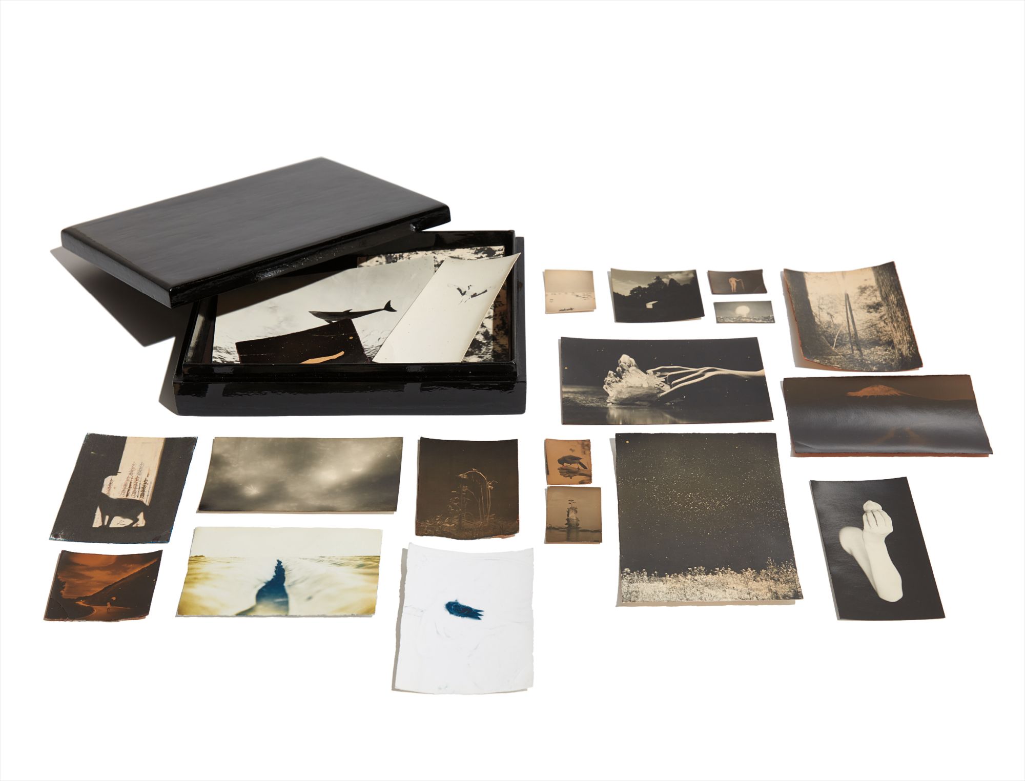 Brought to you by Phillips