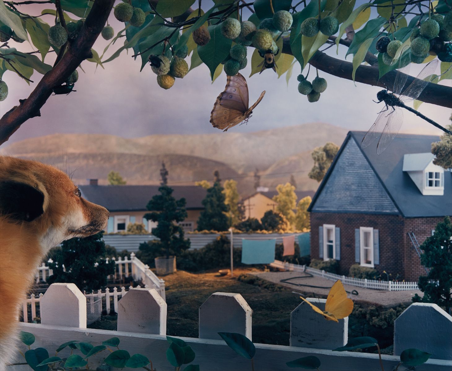 Brought to you by Phillips