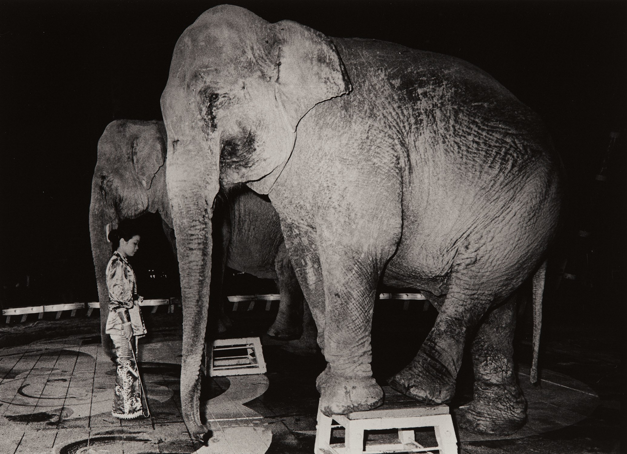 Brought to you by Phillips