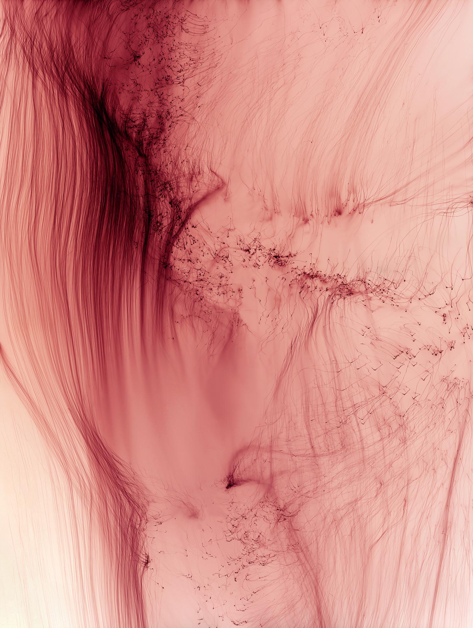 <b>WOLFGANG TILLMANS </b><i>Freischwimmer 20</i>, 2003