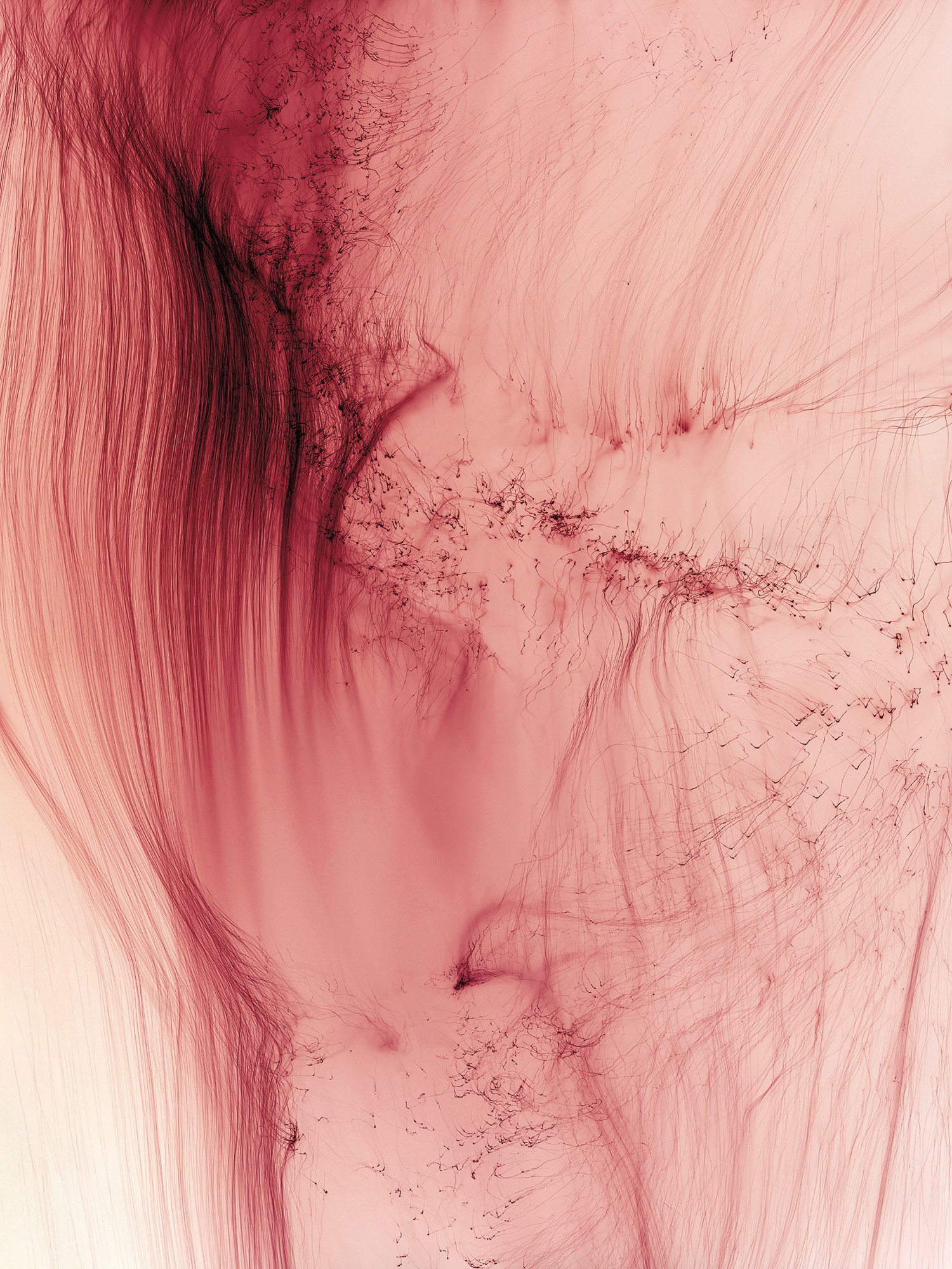 Wolfgang Tillmans Photographs