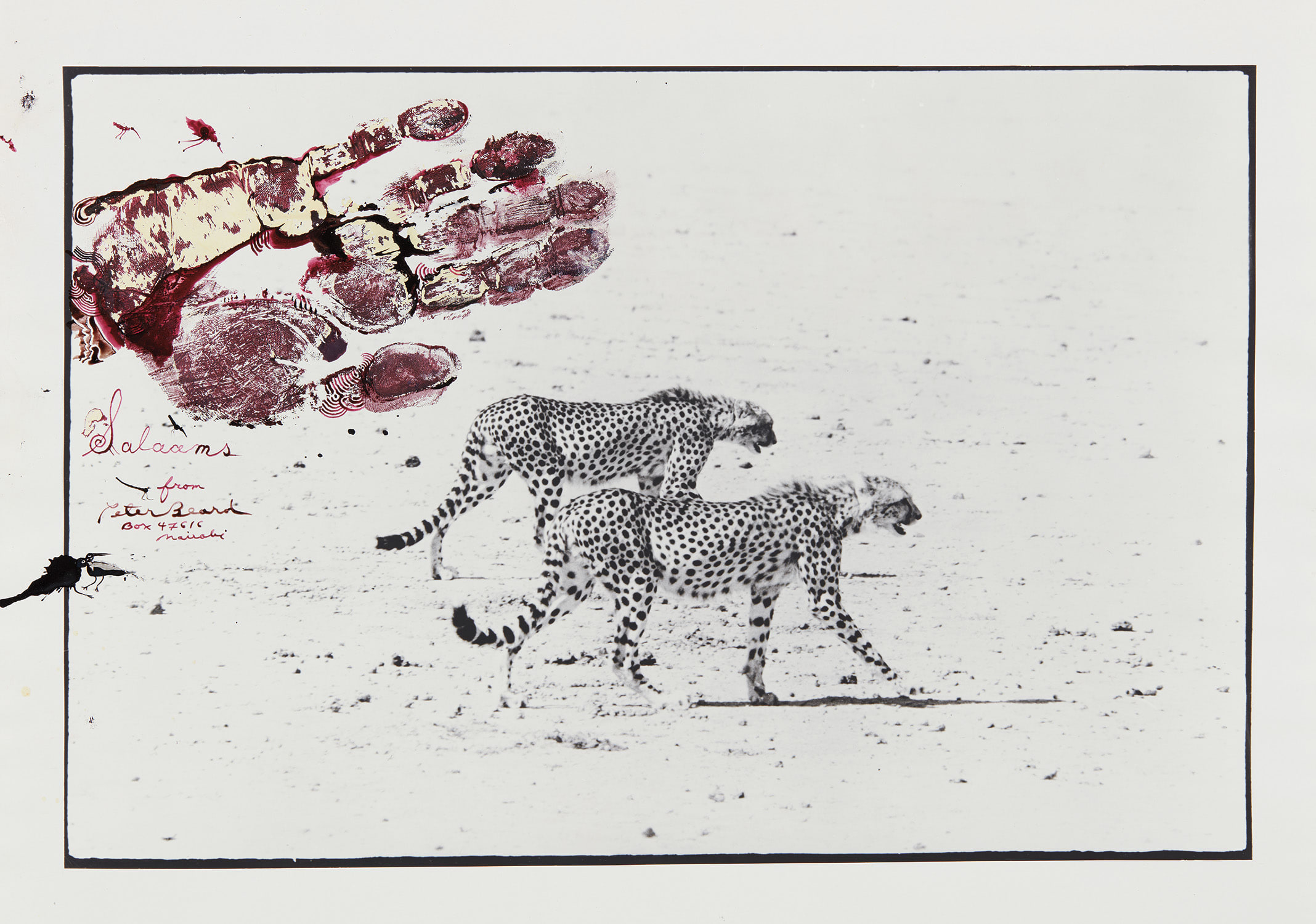 Brought to you by Phillips