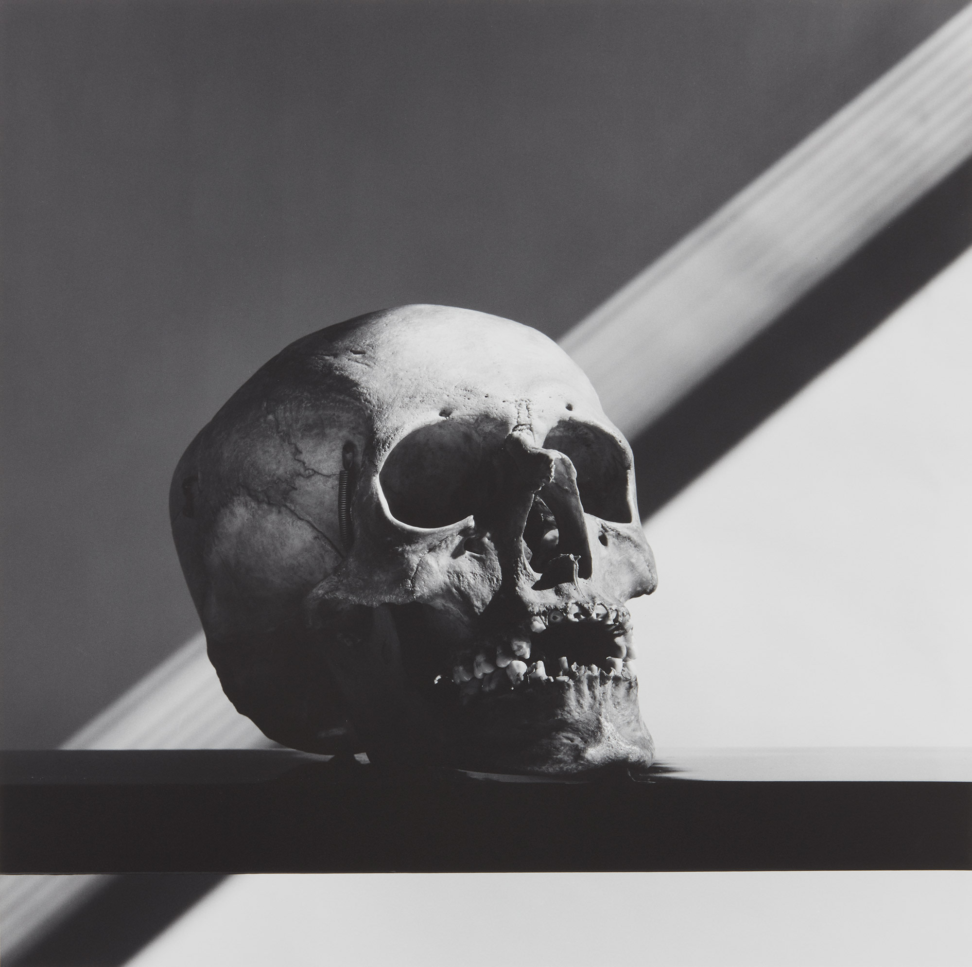 <b>ROBERT MAPPLETHORPE</b><i> Skull</i>, 1988
