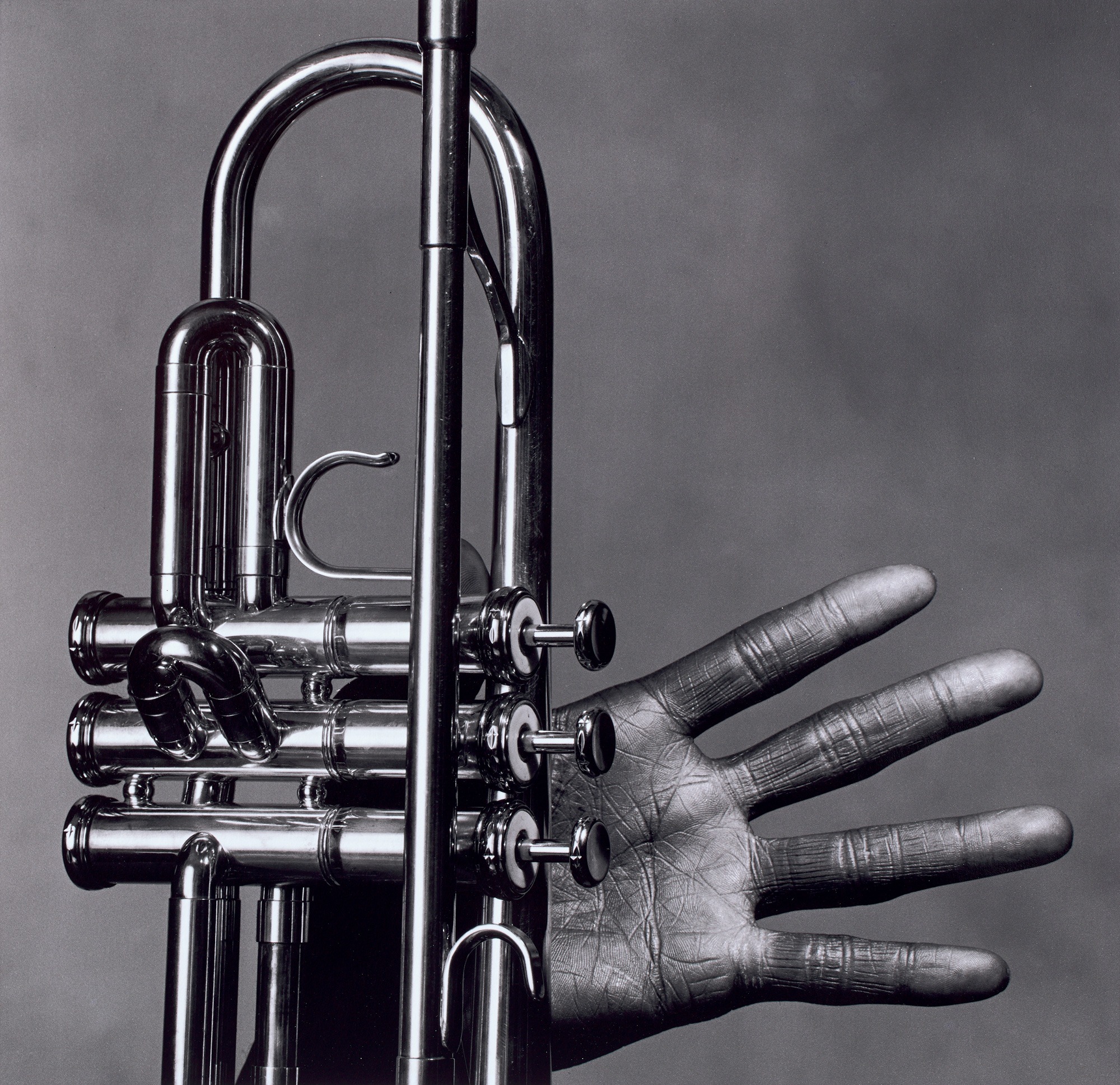 <p><strong>IRVING PENN </strong><em>Miles Davis, Hand and Trumpet, New York, July 1,</em> 1986</p>