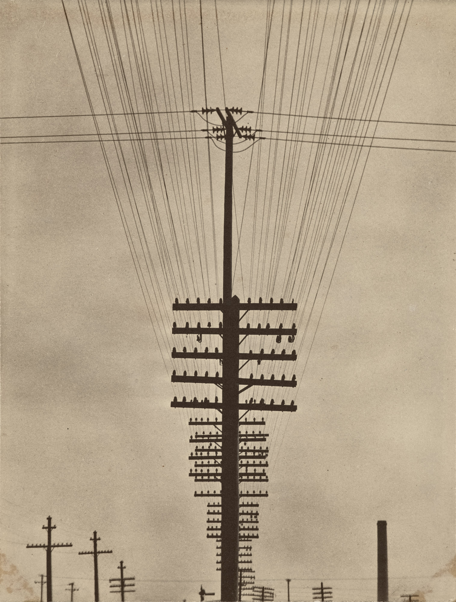 <p><strong>TINA MODOTTI</strong> <em>Telegraph Wires,</em> circa 1925</p>