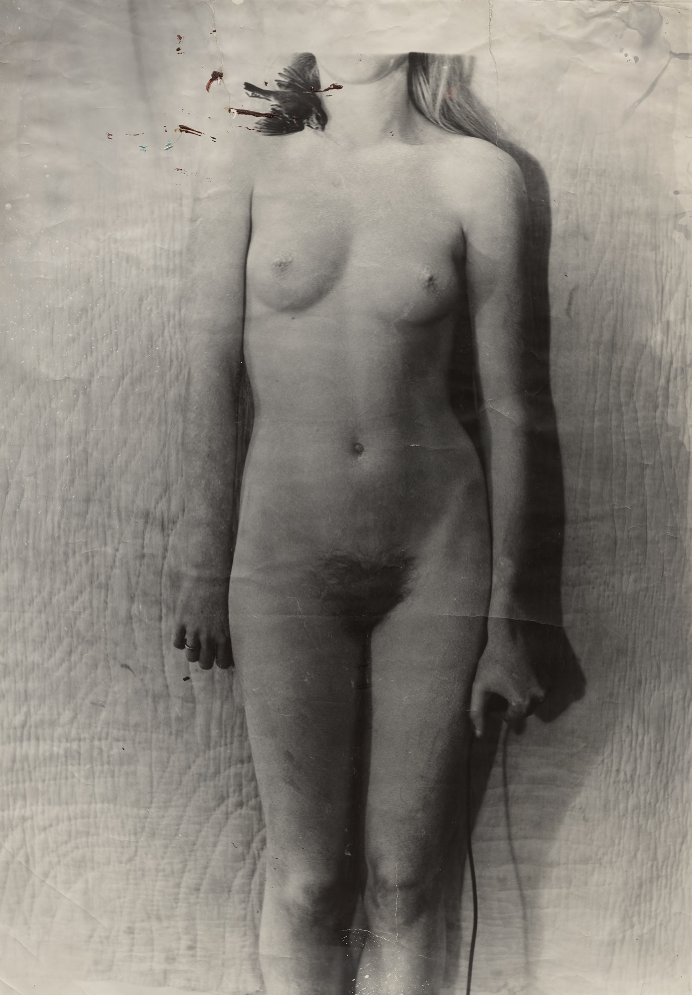 <p><strong>FRANCESCA WOODMAN</strong><em> Self Portrait (with bird),</em> 1976-1978</p>