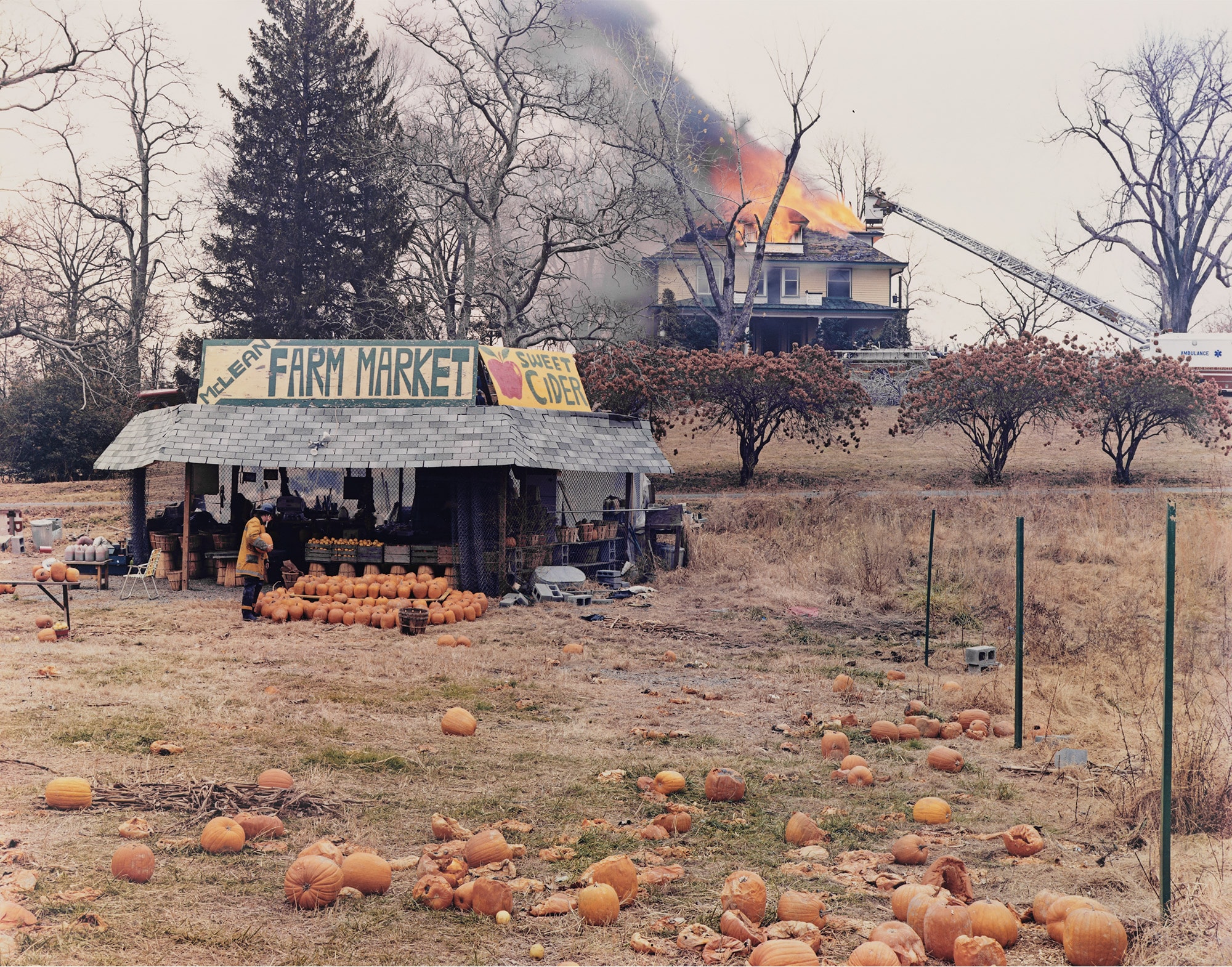 <p><strong>JOEL STERNFELD</strong> <em>McLean, Virginia, December 4,</em> 1978</p>