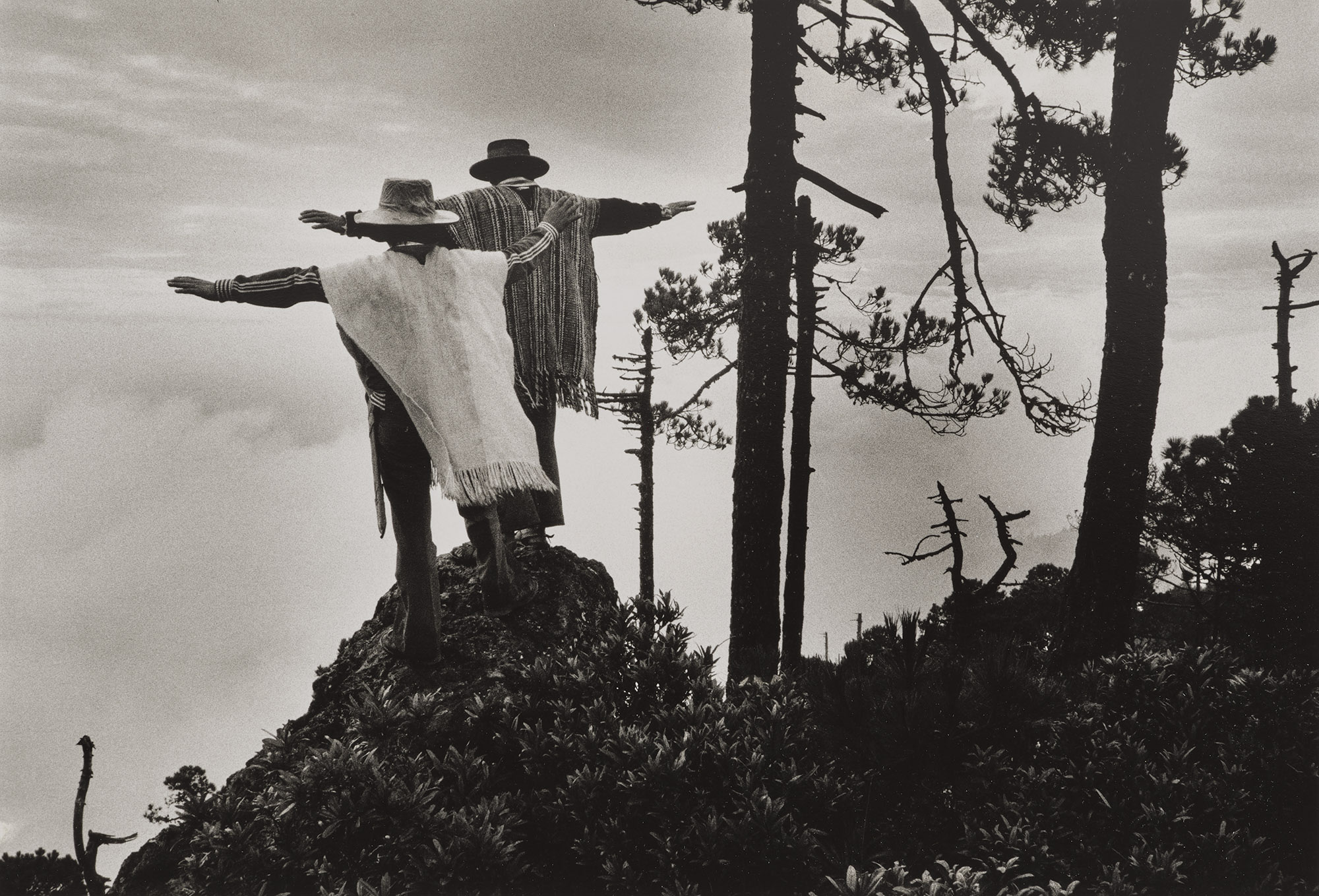 <p><strong>SEBASTI&Atilde;O SALGADO</strong> <em>Oaxaca, Mexico,</em> 1980</p>
