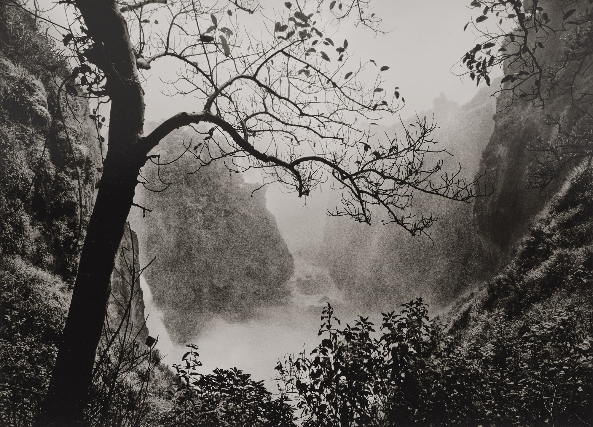 <p><strong>SEBASTI&Atilde;O SALGADO</strong> <em>Victoria Falls with Tree, Zimbabwe,</em> 2008</p>
