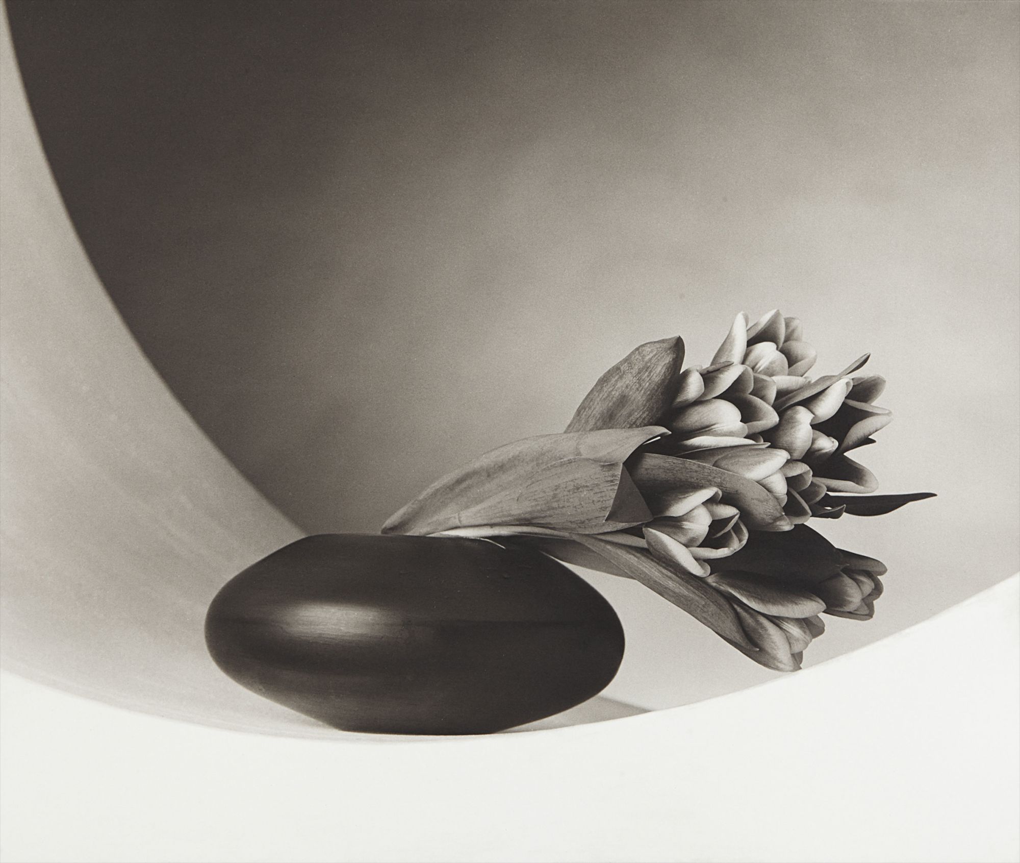 <b>ROBERT MAPPLETHORPE</b> <i>Tulips,</i> 1987