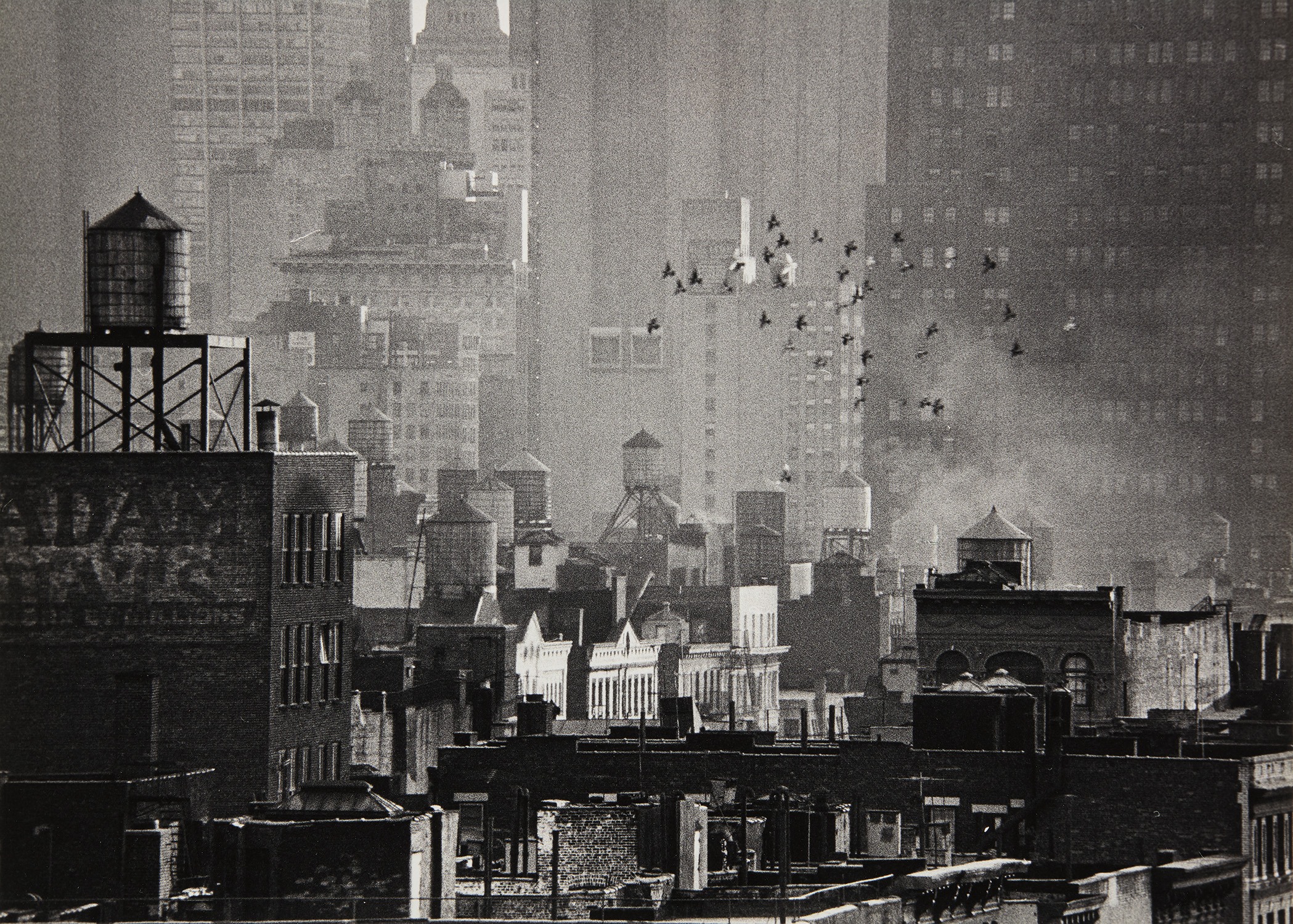 Kertész André Kertész 写真集 André Kertész, Distortion, 1933 | Bruce Silverstein
