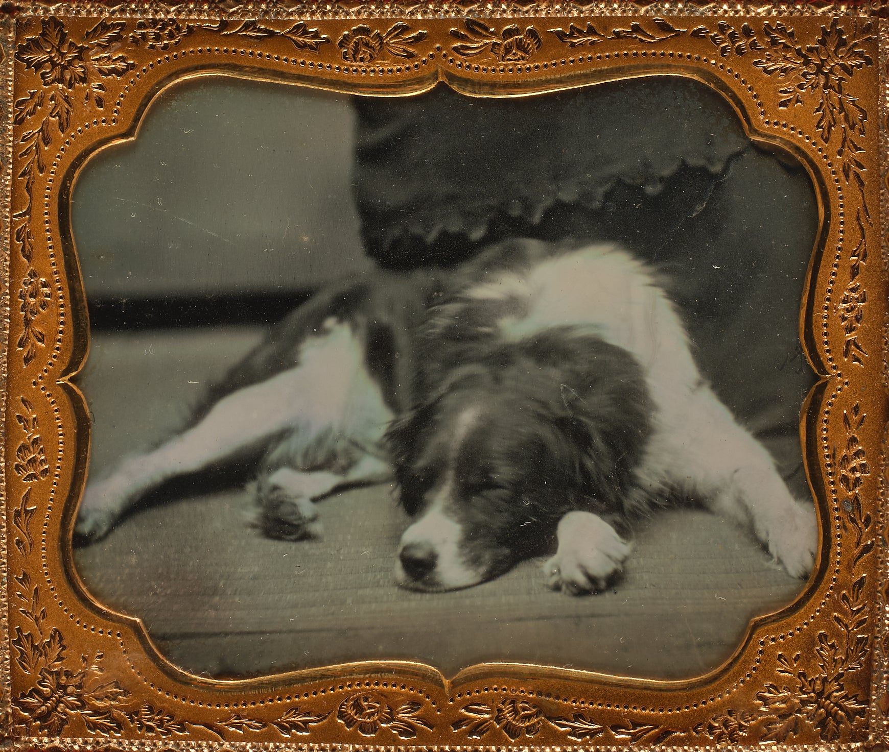 Brought to you by Phillips