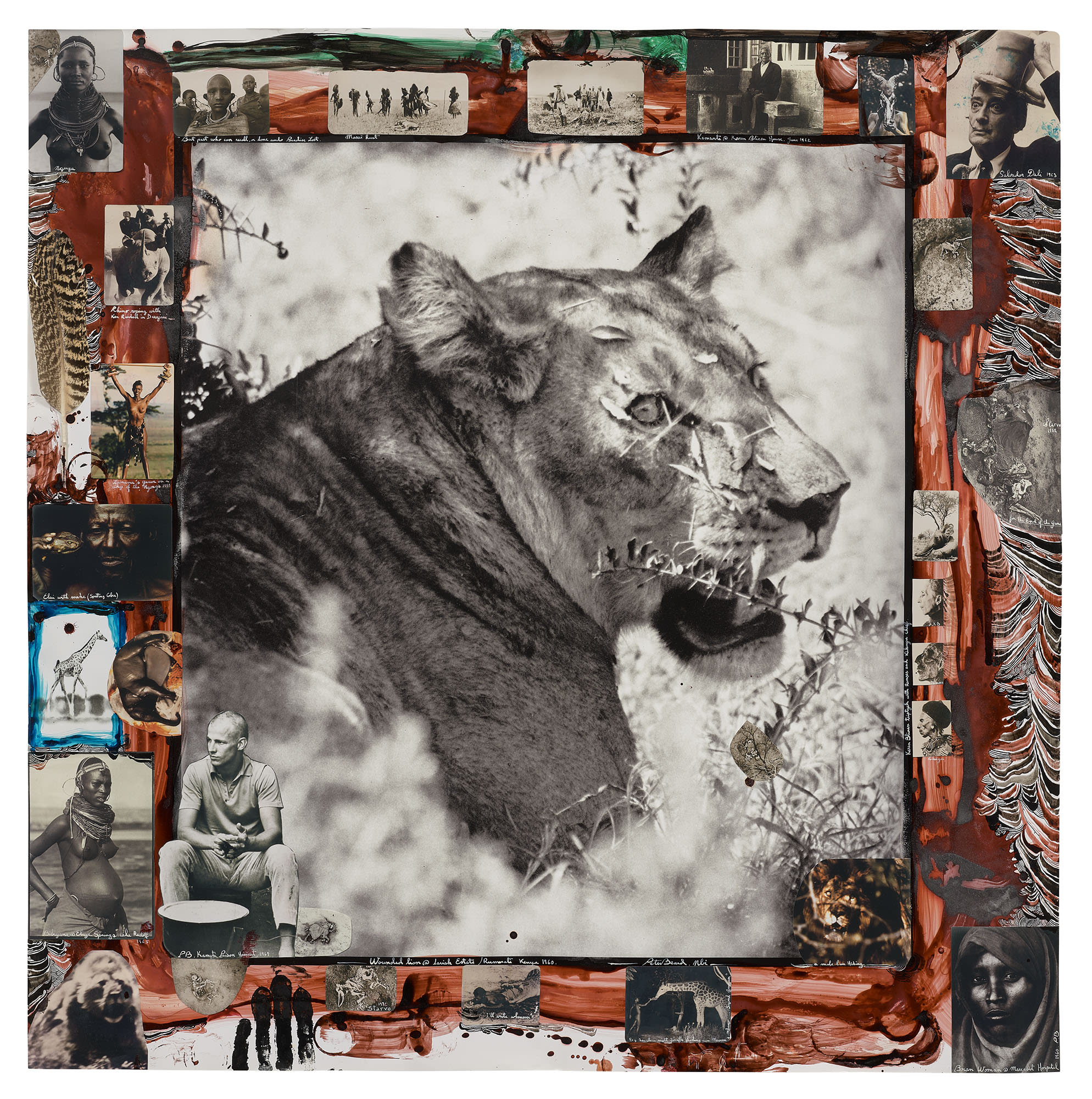 <p><strong>PETER BEARD</strong> <em>Wounded Lion @ Lariak Estate / Rumuruti Kenya, </em>1960</p>
