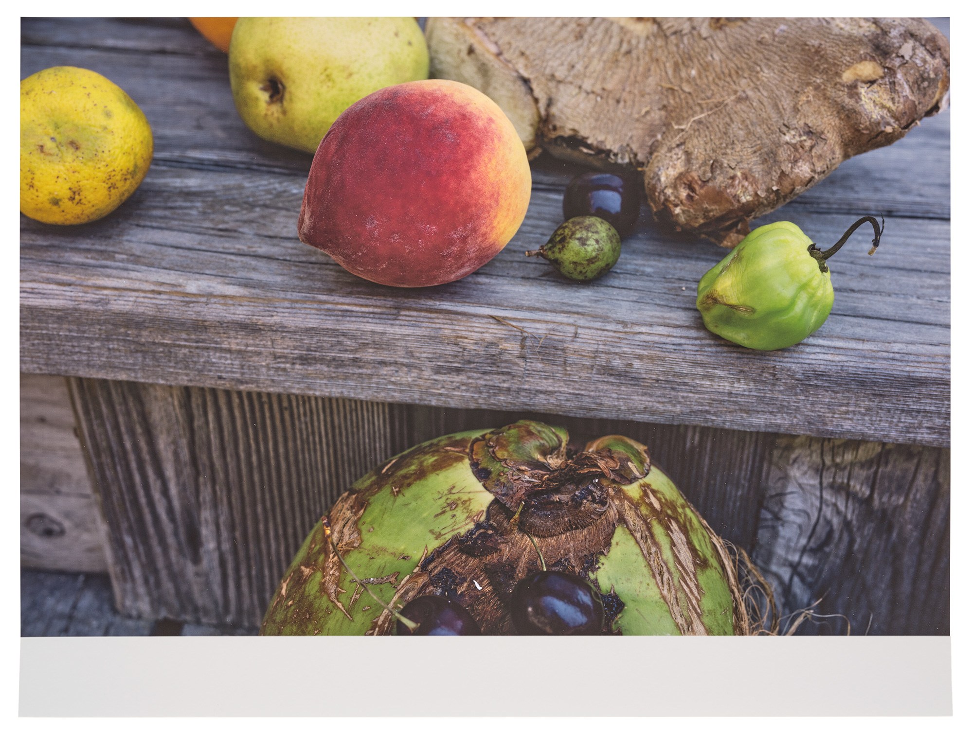 <p><strong>WOLFGANG TILLMANS </strong><em>peach alive</em>, 2016</p>
