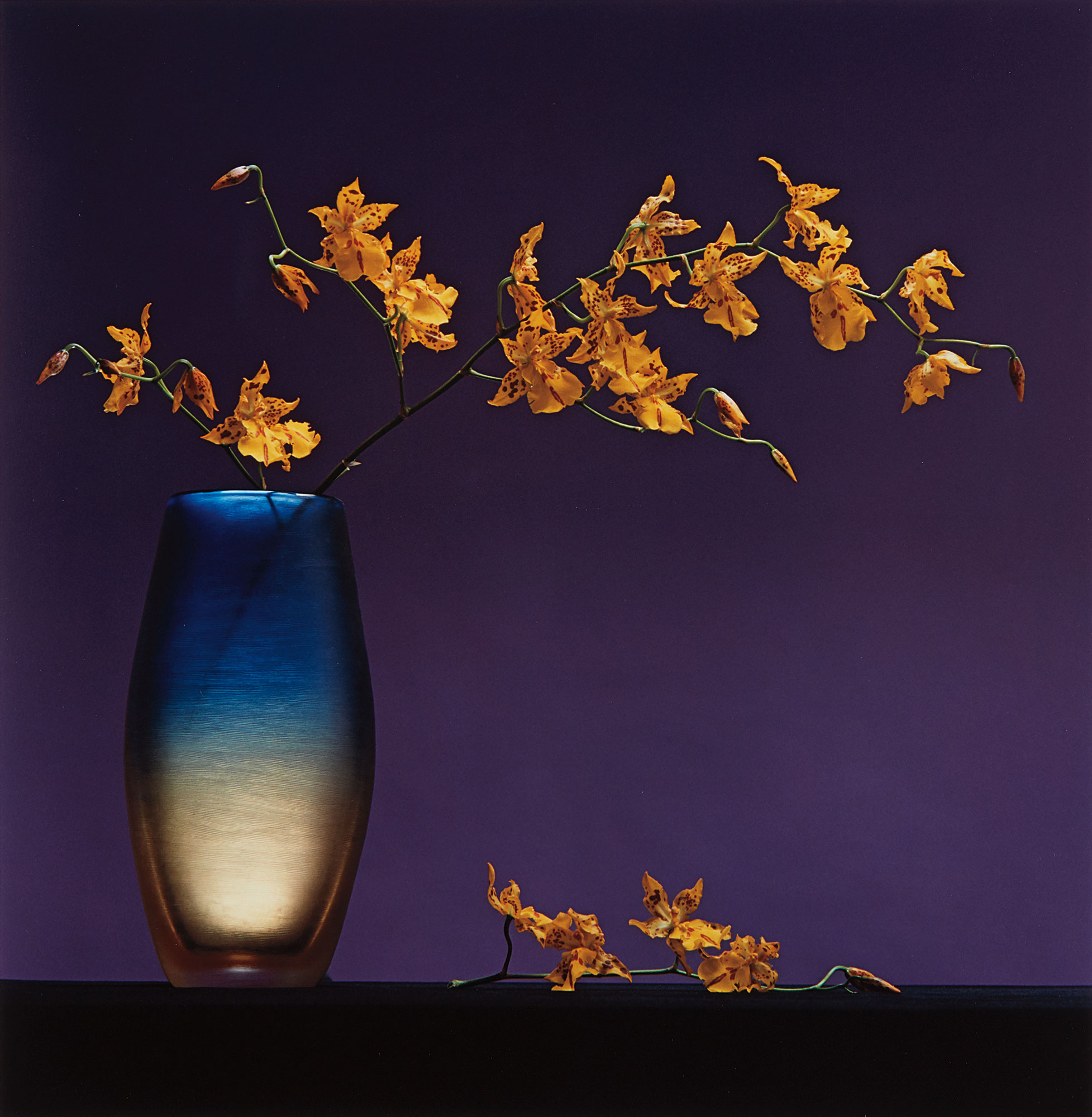 <b>ROBERT MAPPLETHORPE</b><i> Flowers in Vase</i>, 1985