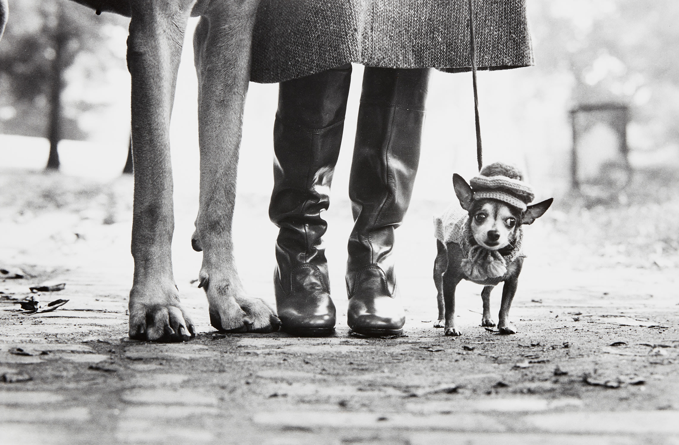 Brought to you by Phillips