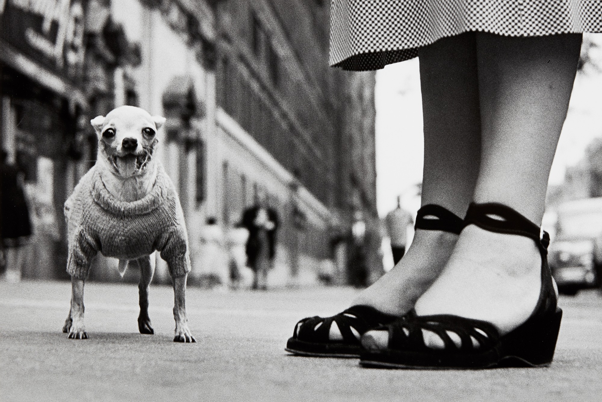 <p><strong>ELLIOTT ERWITT</strong> <em>New York City</em>, 1946</p>