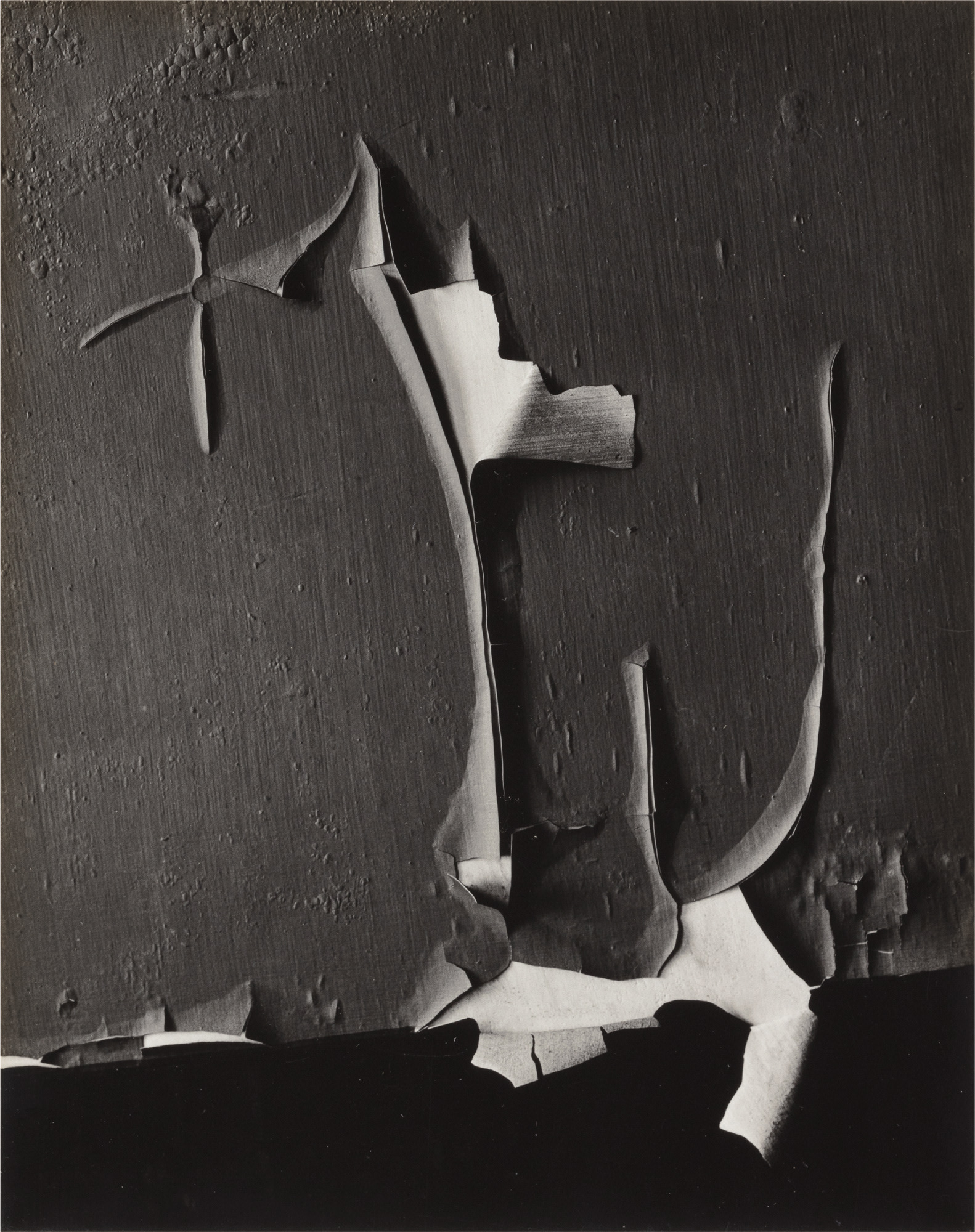 <p><strong>MINOR WHITE</strong> <em>Peeled Paint, Rochester, New York</em>, 1959</p>