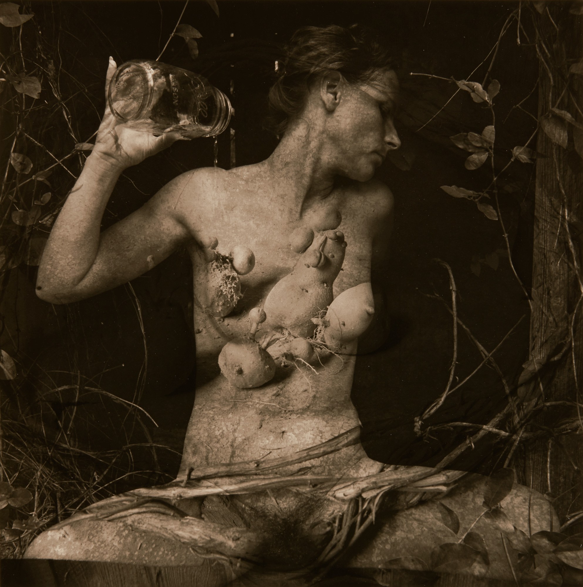 <p><strong>EMMET GOWIN</strong> <em>Edith</em>, 1987</p>