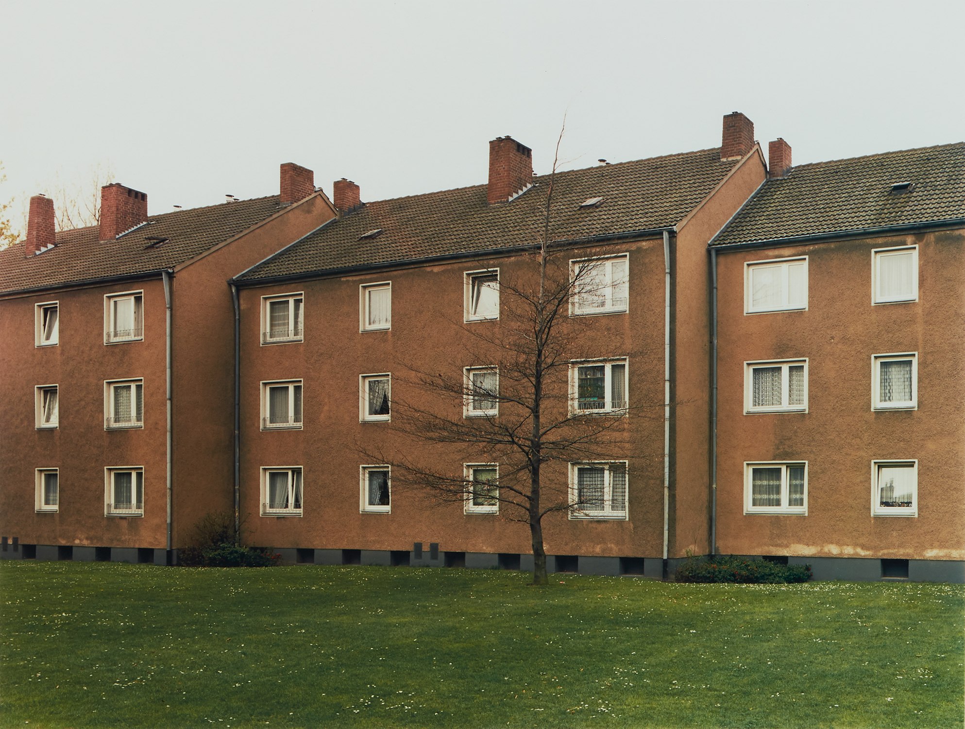 Lot 4
