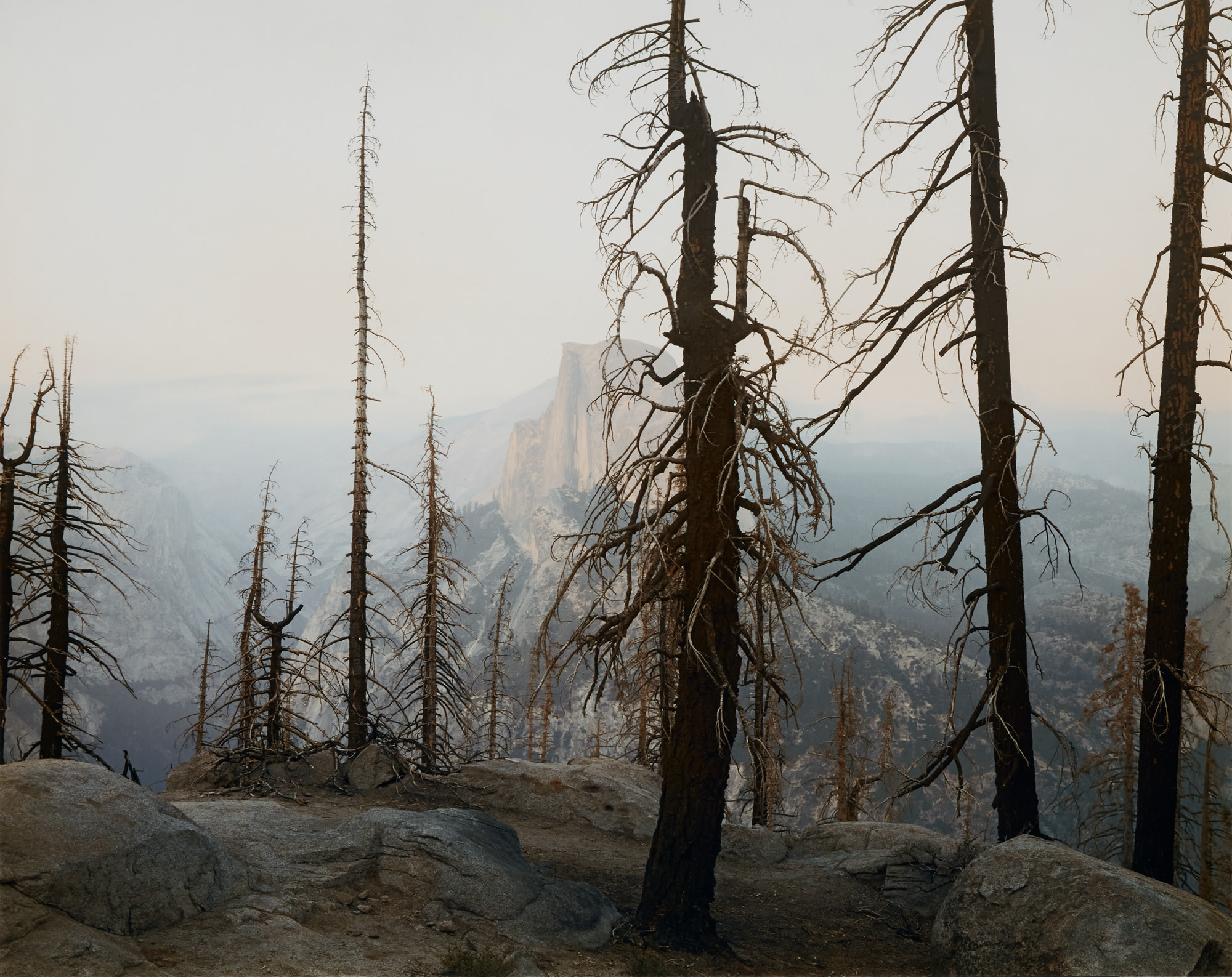 <p><strong>RICHARD MISRACH</strong><em> Yosemite (Burnt Forest and Half-Dome), </em>1988</p>